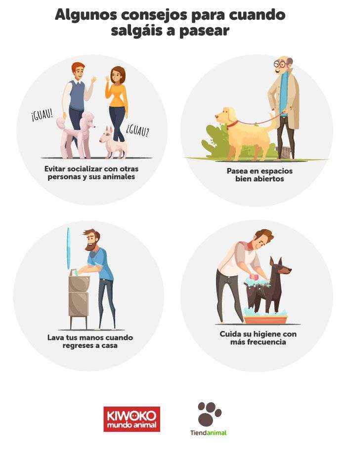 El bienestar de los animales, su alimentación y salud, entre las medidas excepcionales frente al coronavirus