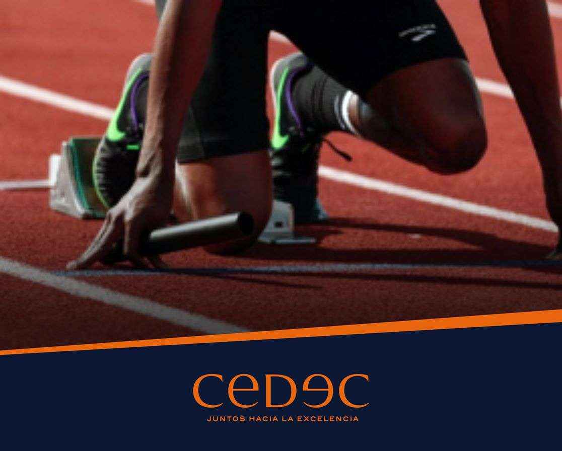 La consultoría CEDEC recomienda como planificar el futuro de una empresa familiar programando una sucesión ordenada
