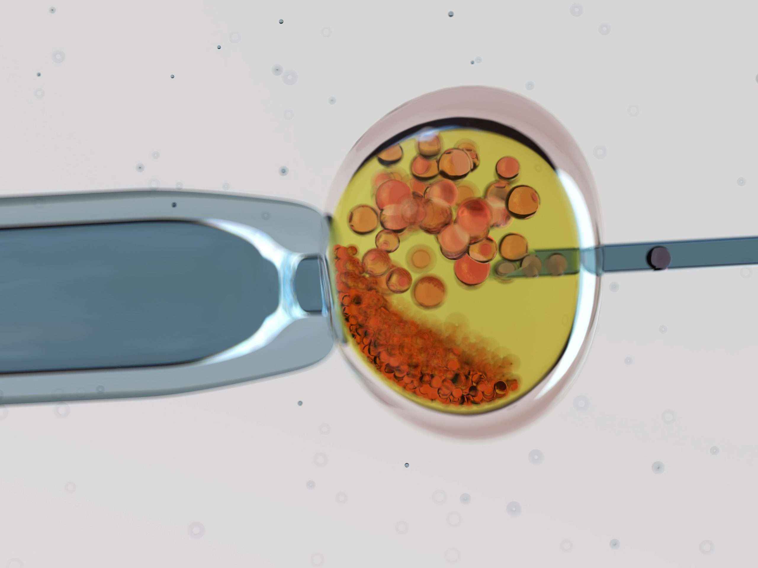 MARGen: El coronavirus no debe frenar la reproducción asistida, pero sí retrasar el embarazo