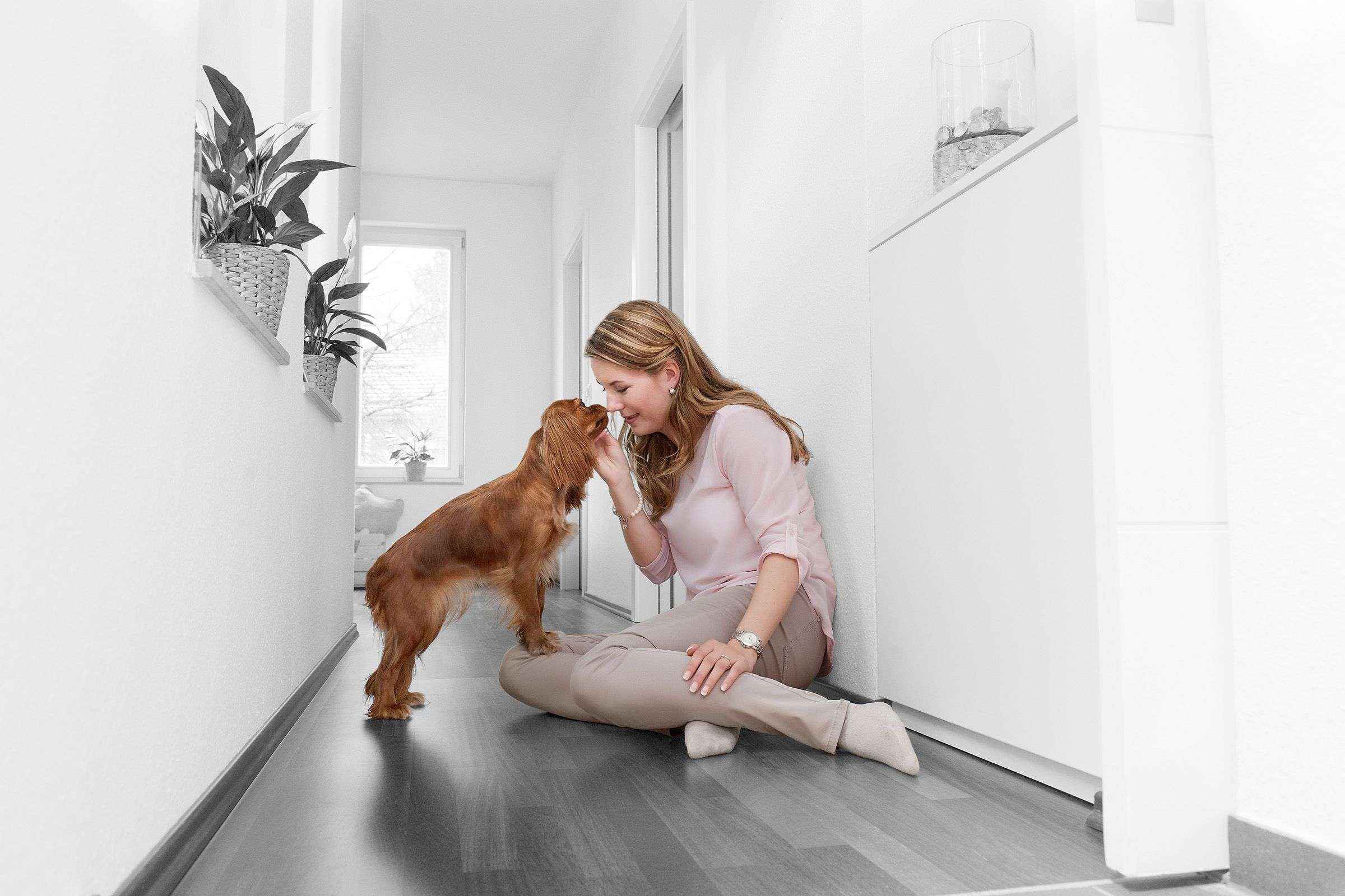 #JuntosENCASAlaVidaEsMejor de Purina, la iniciativa que vela por las mascotas y sus dueños