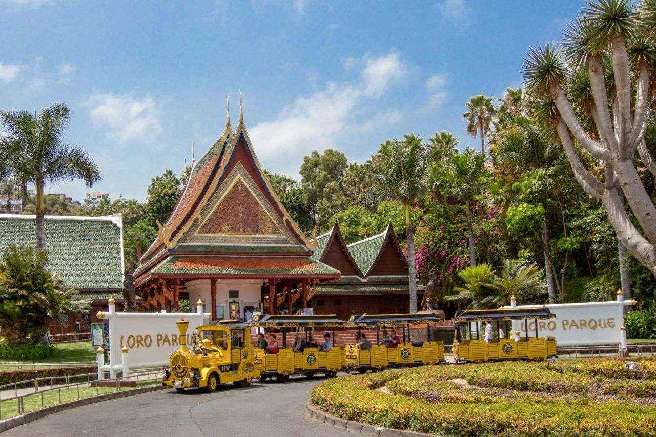 Loro Parque continúa haciendo las presentaciones de animales sin público