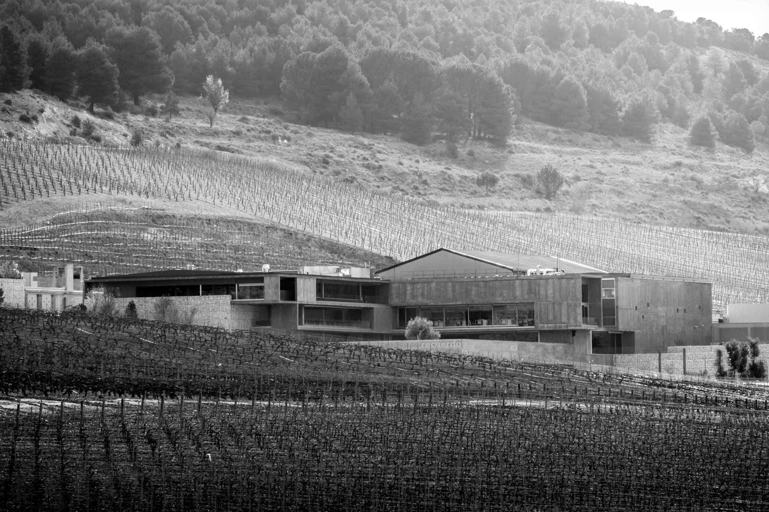 La bodega Pago de Carraovejas aúna innovación y tradición gracias a la ciberseguridad Next-gen de Sophos