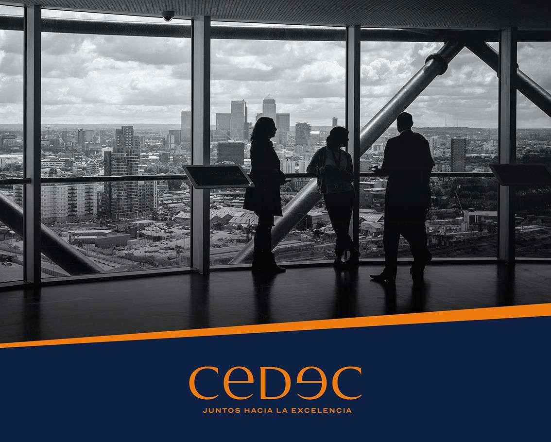 La consultoría CEDEC ofrece las pautas para efectuar un correcto plan de incorporación a la actividad