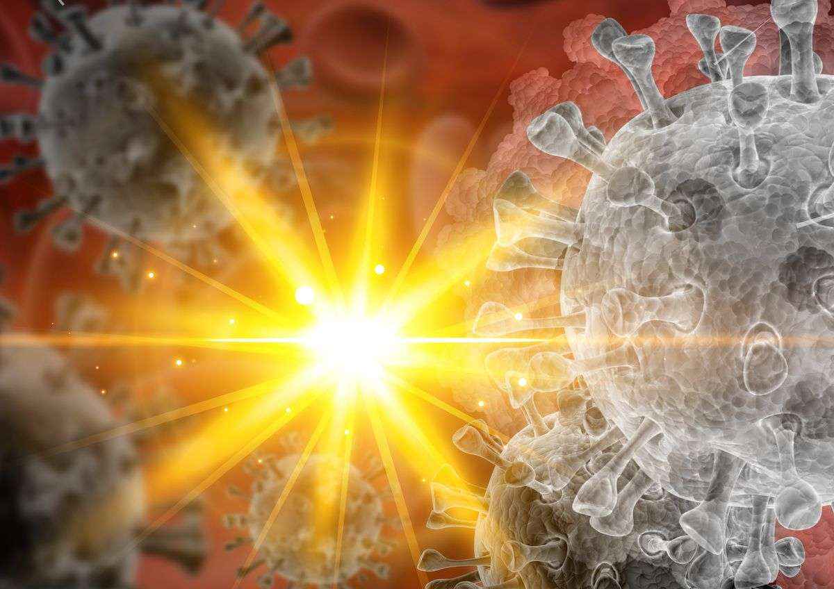 Neutrino Nergy Group: Las pandemias son el resultado del ataque a la biodiversidad del planeta