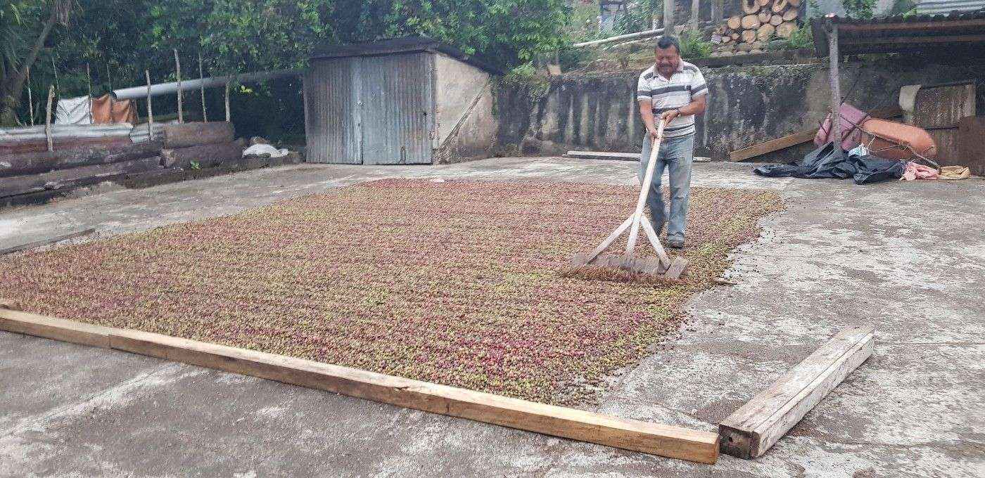 EthicHub comercializará el café de sus agricultores