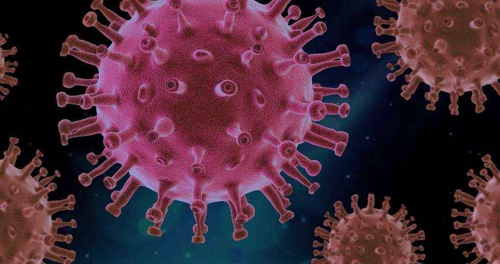 Expertos cuestionan el uso de la dexametasona para COVID-19, según Jan Tesarik de la Clínica MARGen