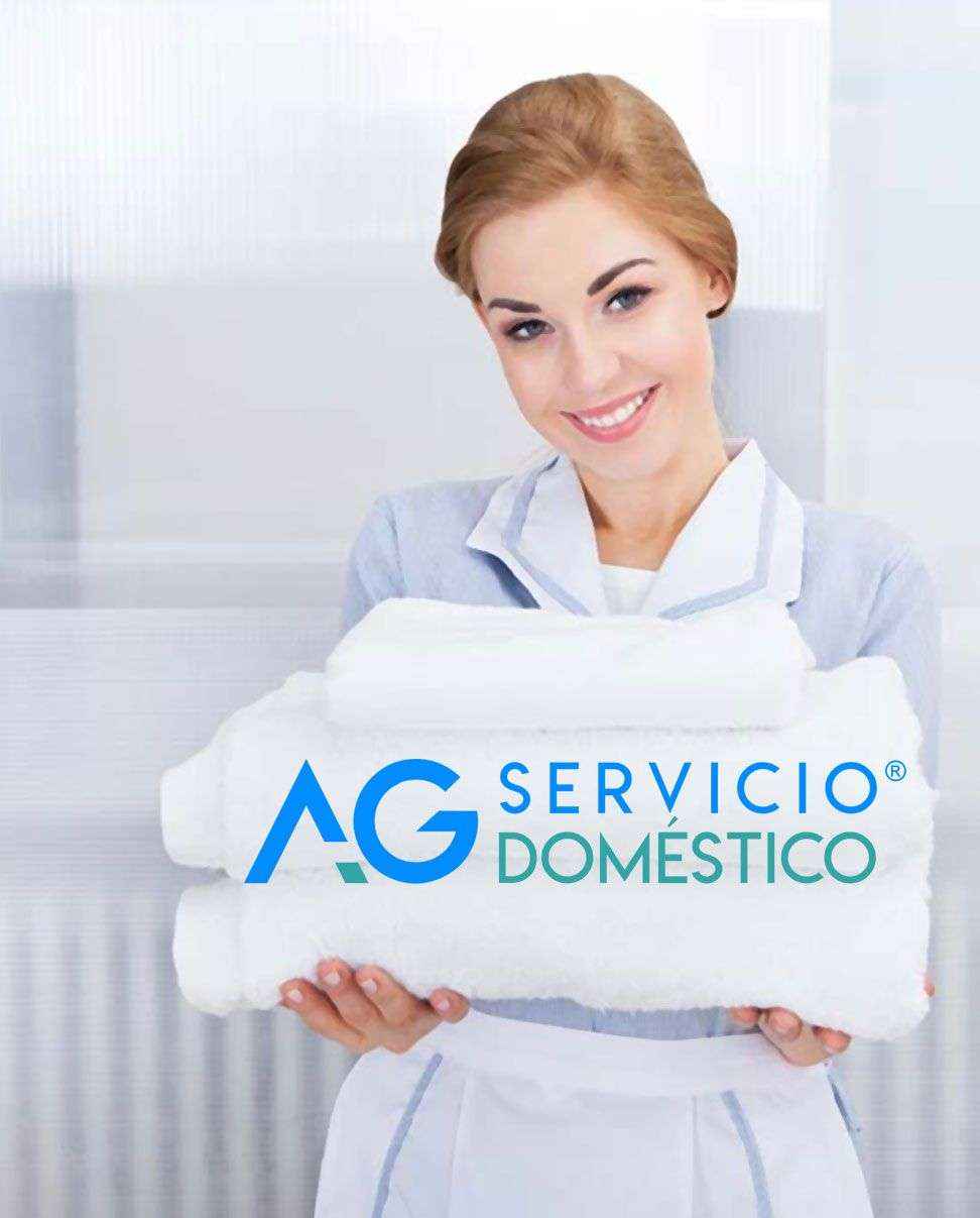 Importancia de los servicios domésticos por Servicio Doméstico AG