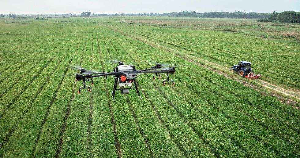 Atos y Telespazio ponen bajo control la plaga de la planta tóxica estramonio