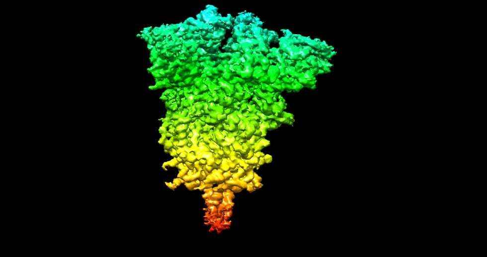 CNB utiliza la experiencia de Atos en supercomputación para descubrir cómo inicia la infección el Covid-19