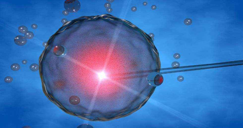 Las incertidumbres en torno a la COVID-19 aconsejan tomar medidas para preservar la fertilidad