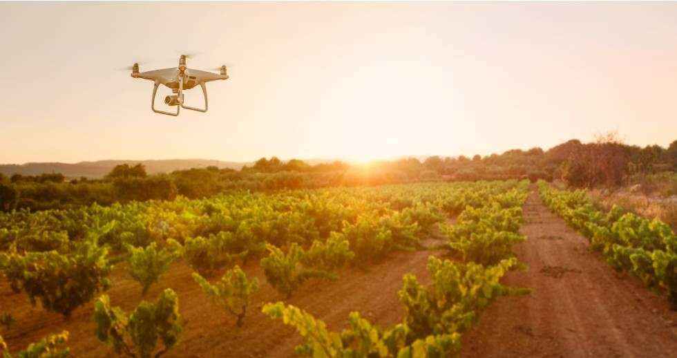 Atos lleva la IA mediante imágenes de drones y satélites a bodegas de Ribera del Duero