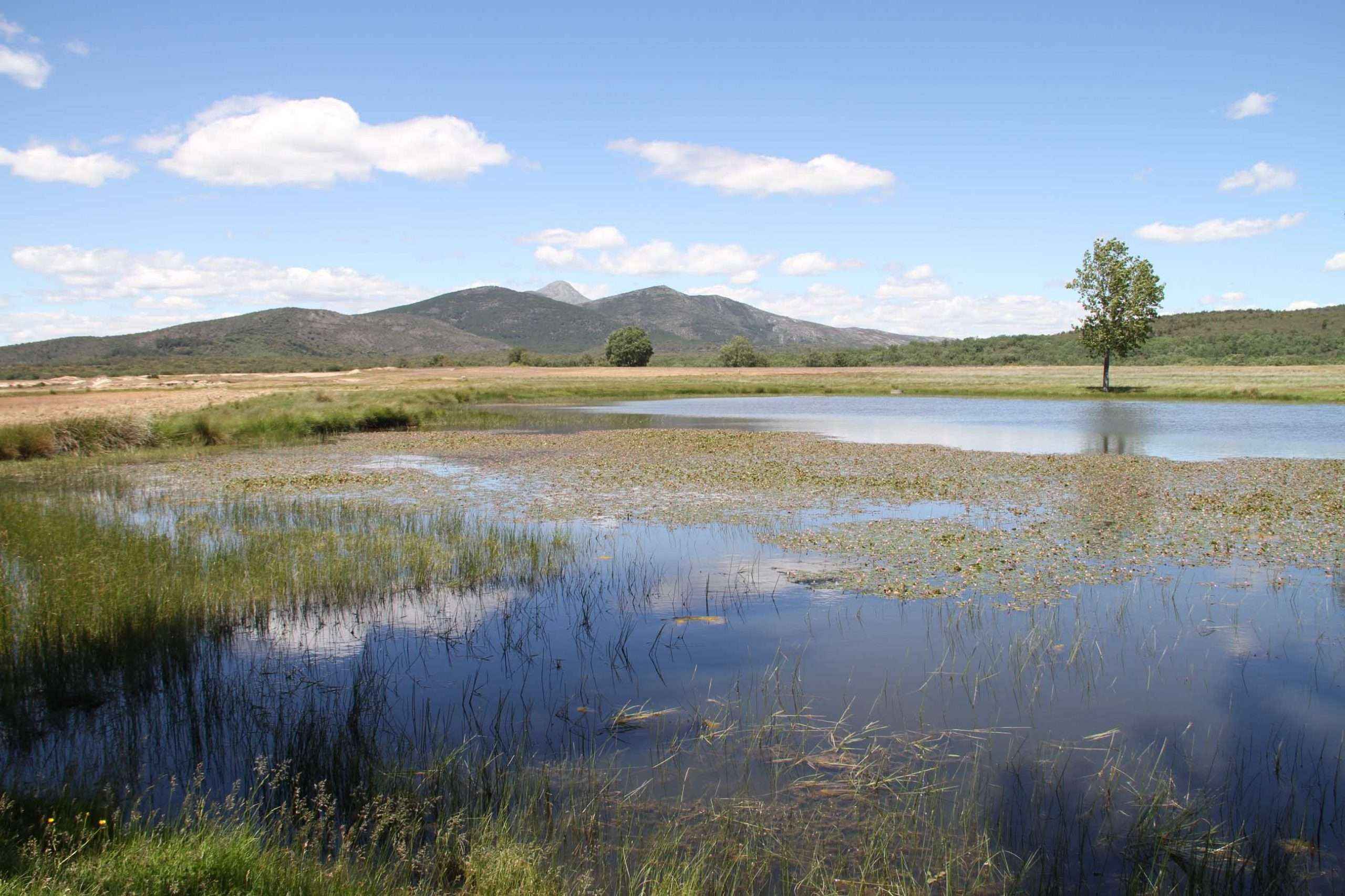 Nuevas ayudas para la creación, mejora o ampliación de infraestructuras públicas en zonas rurales