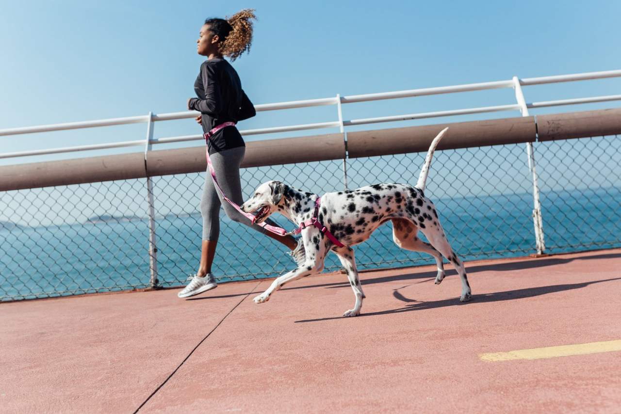 Correas running para perros de la marca Cachorreiros
