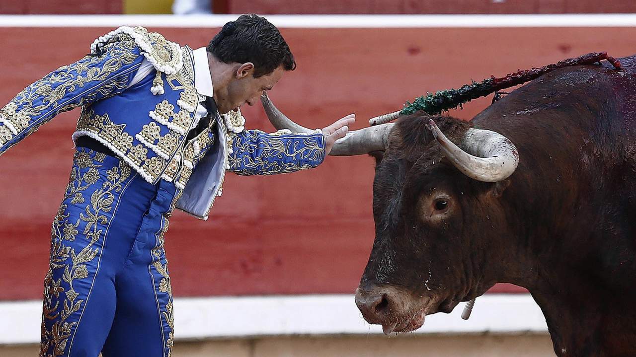 Piezas taurinas para coleccionistas: cabeza de toro para colgar