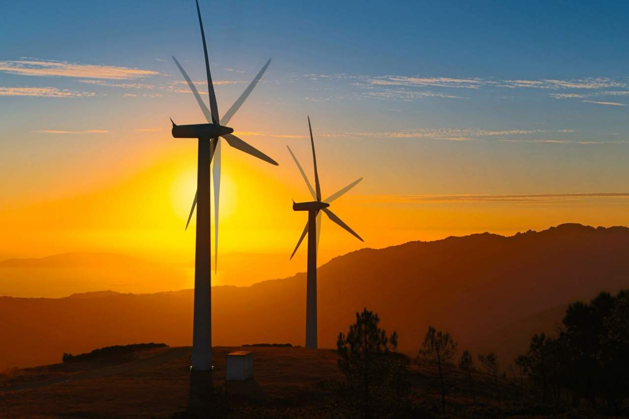¿Cuáles son las diferencias entre energía renovable y eficiencia energética?