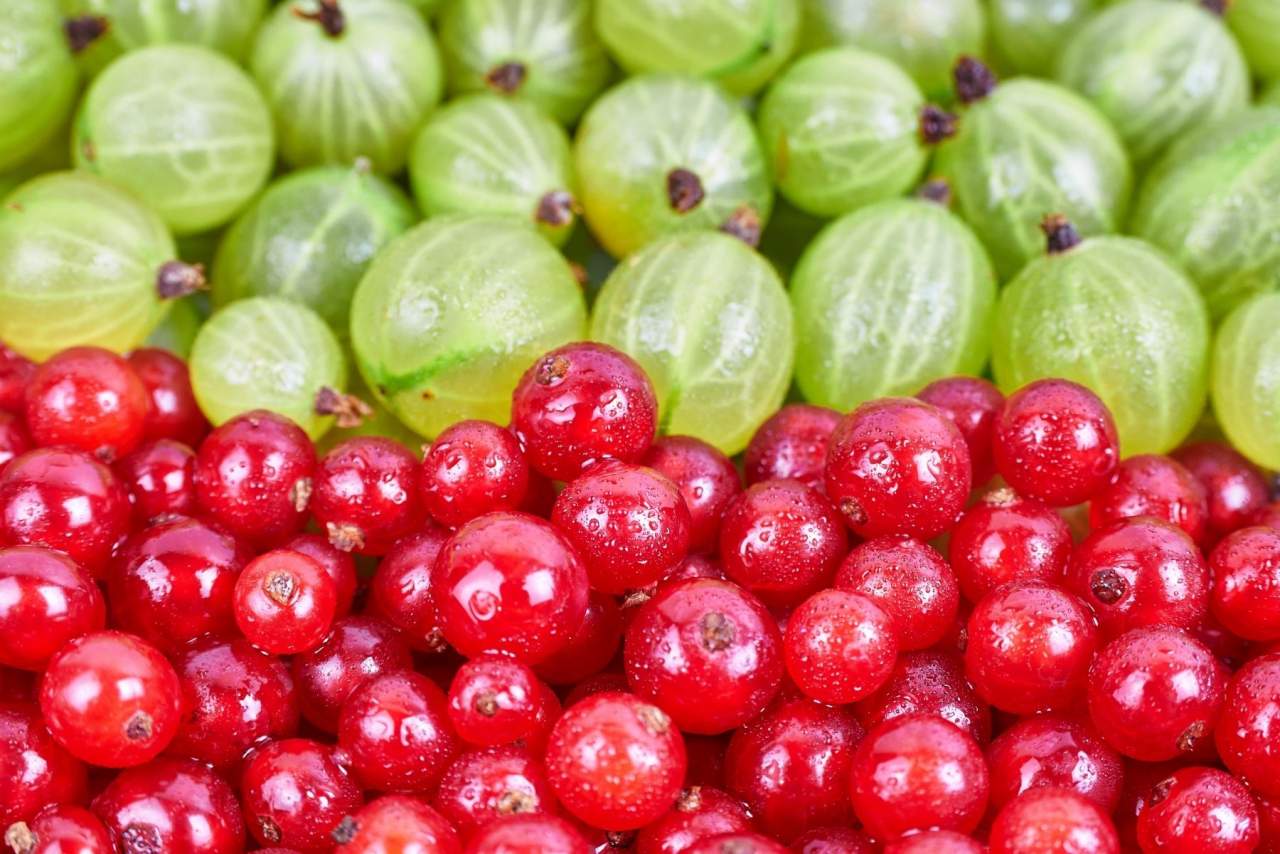 Estos son los beneficios de comprar fruta ecológica online en EcoSarga