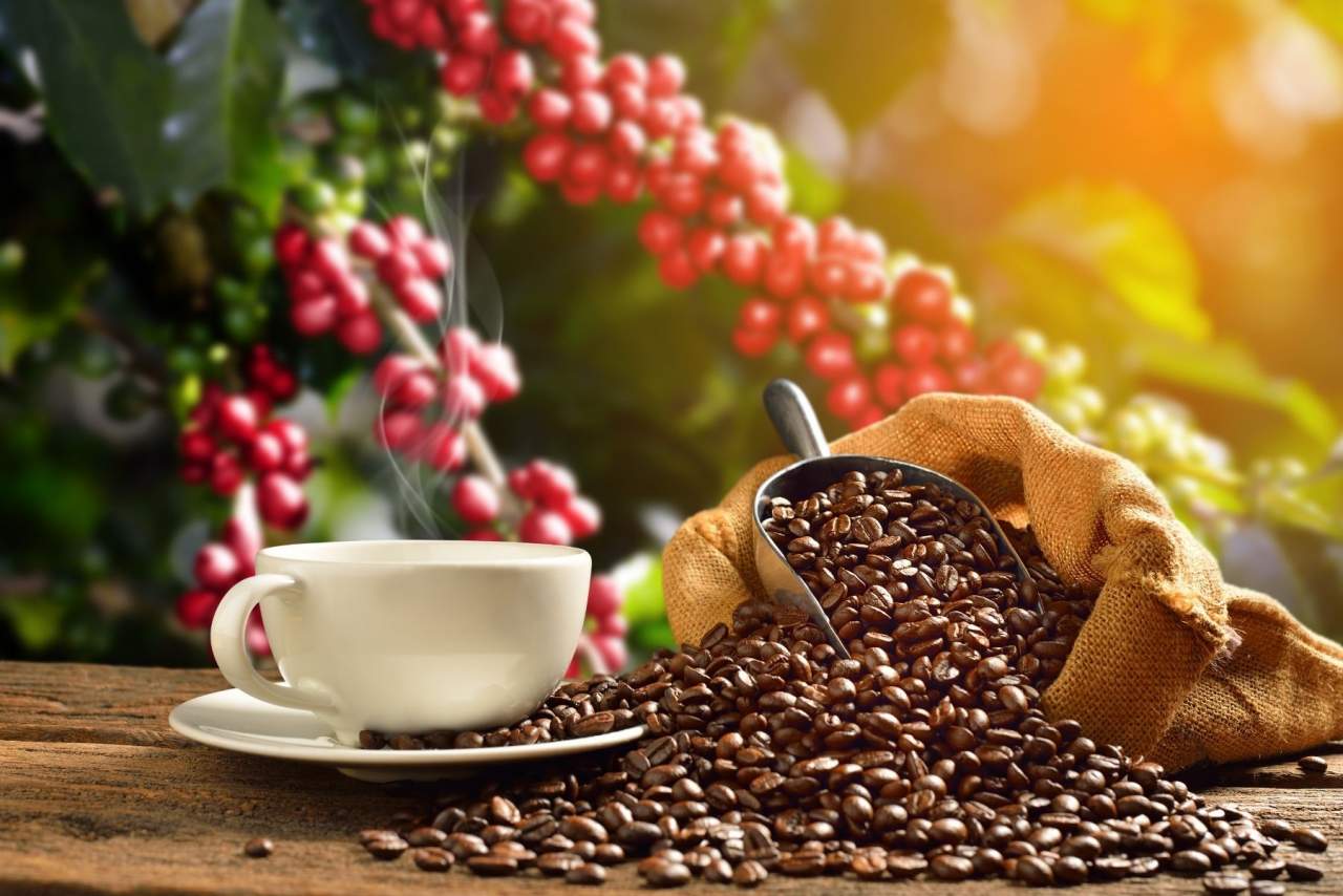Café de especialidad en Santiago de Compostela: Coffee Mori, el sueño gallego