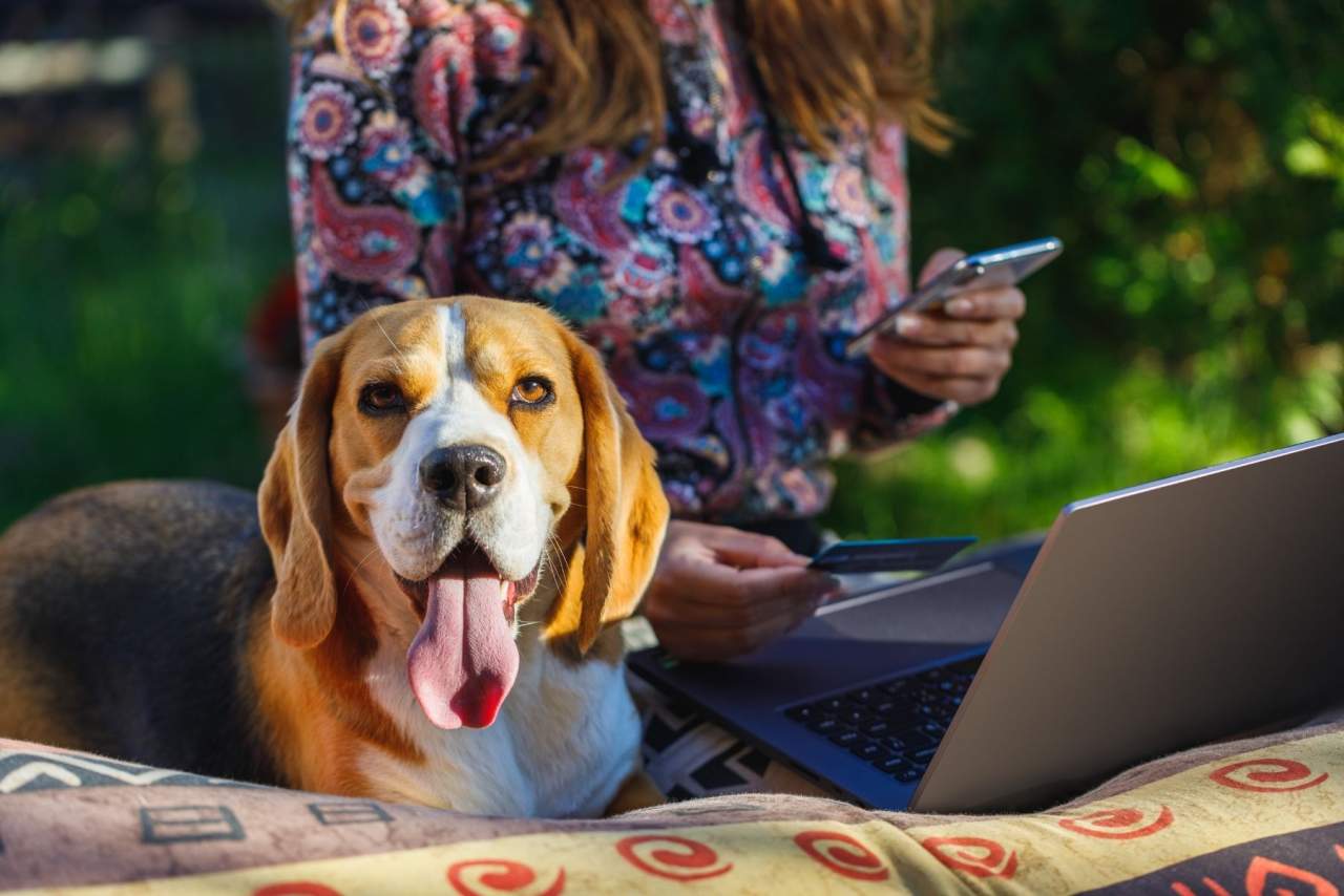 ¿Cómo ayuda el Software veterinario en el día a día de las clínicas? La experiencia con Petclinic