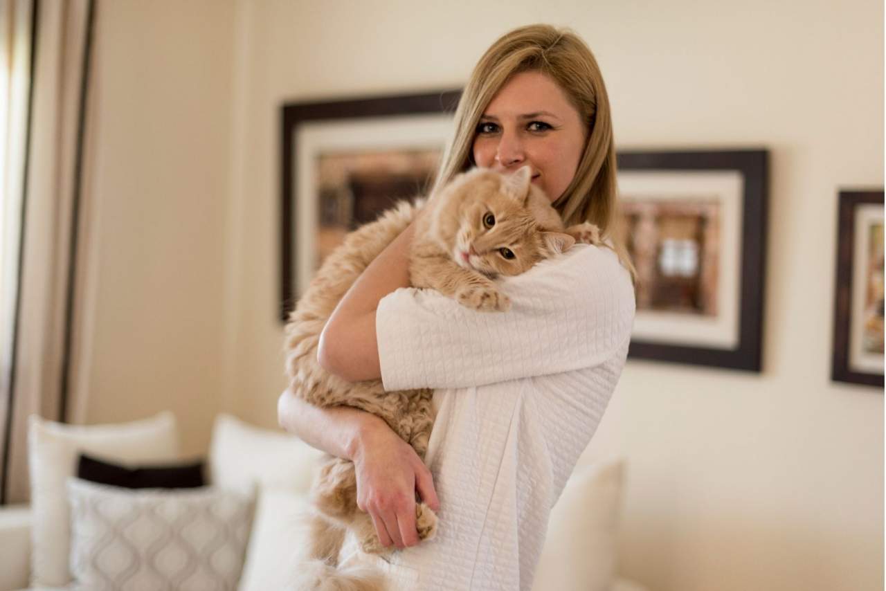 ¿Se puede educar a un gato o corregir la conducta o comportamientos indeseados?