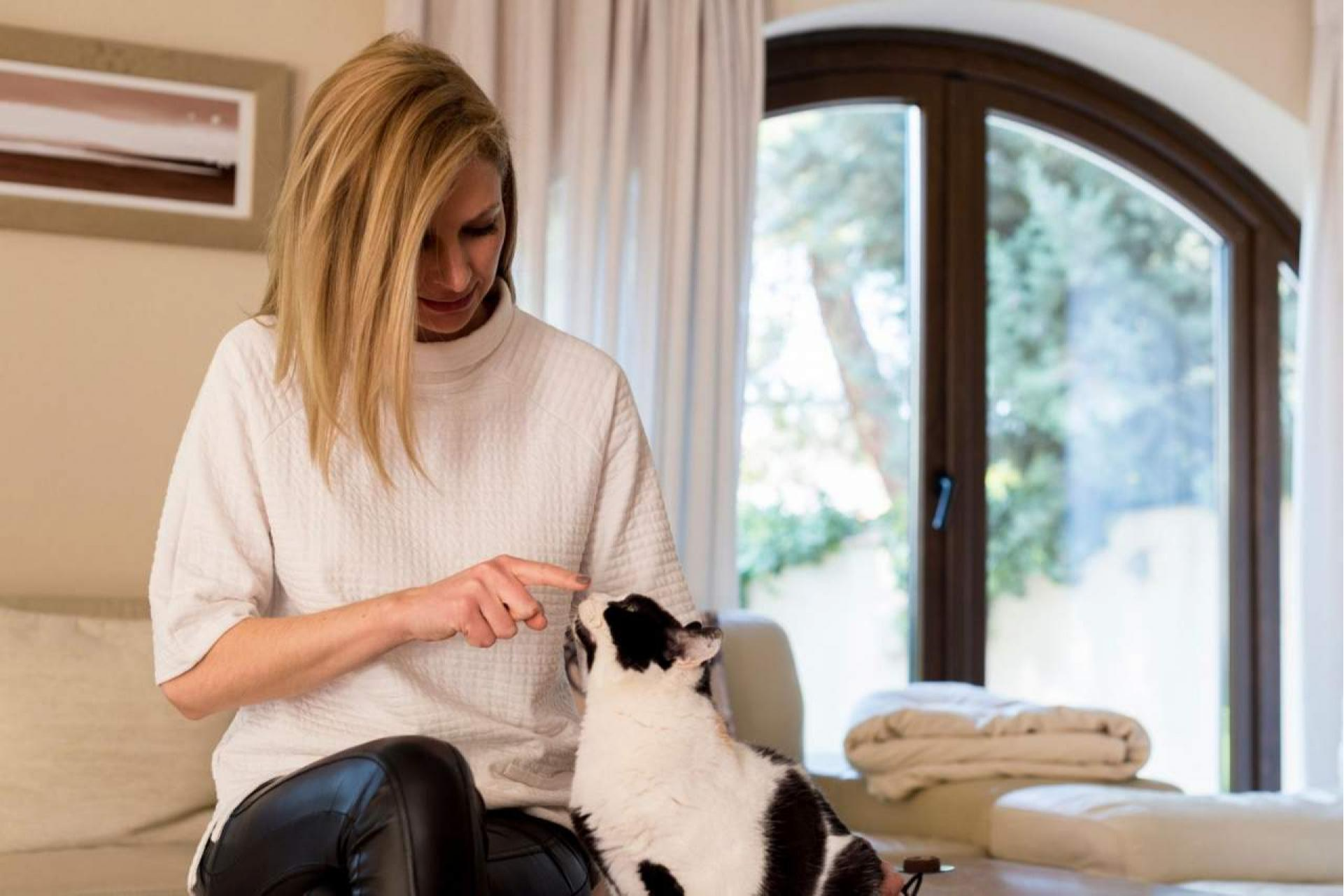 La importancia de saber cómo educar a un gato para que no muerda: la Encantadora de Gatos