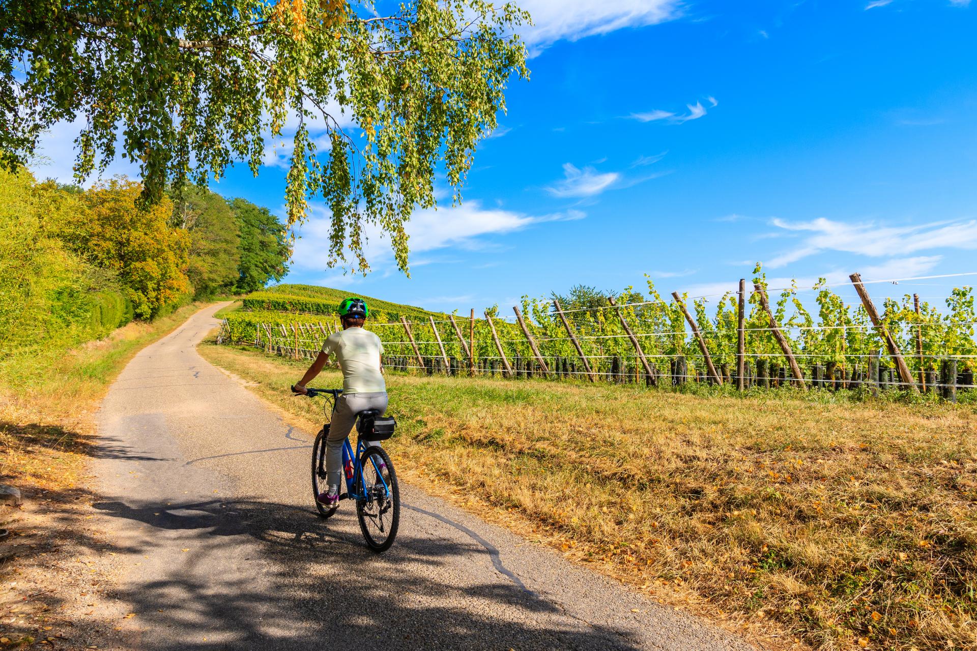 Ruralzoom es una opción para el marketing profesional de turismo rural