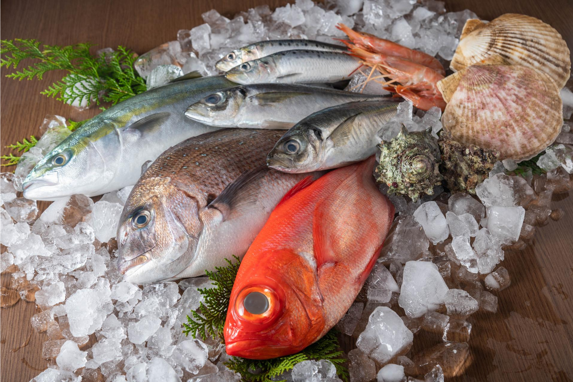 Aacore Supply: ¿Cuáles son las cámaras frigoríficas para pescaderías más populares en España?