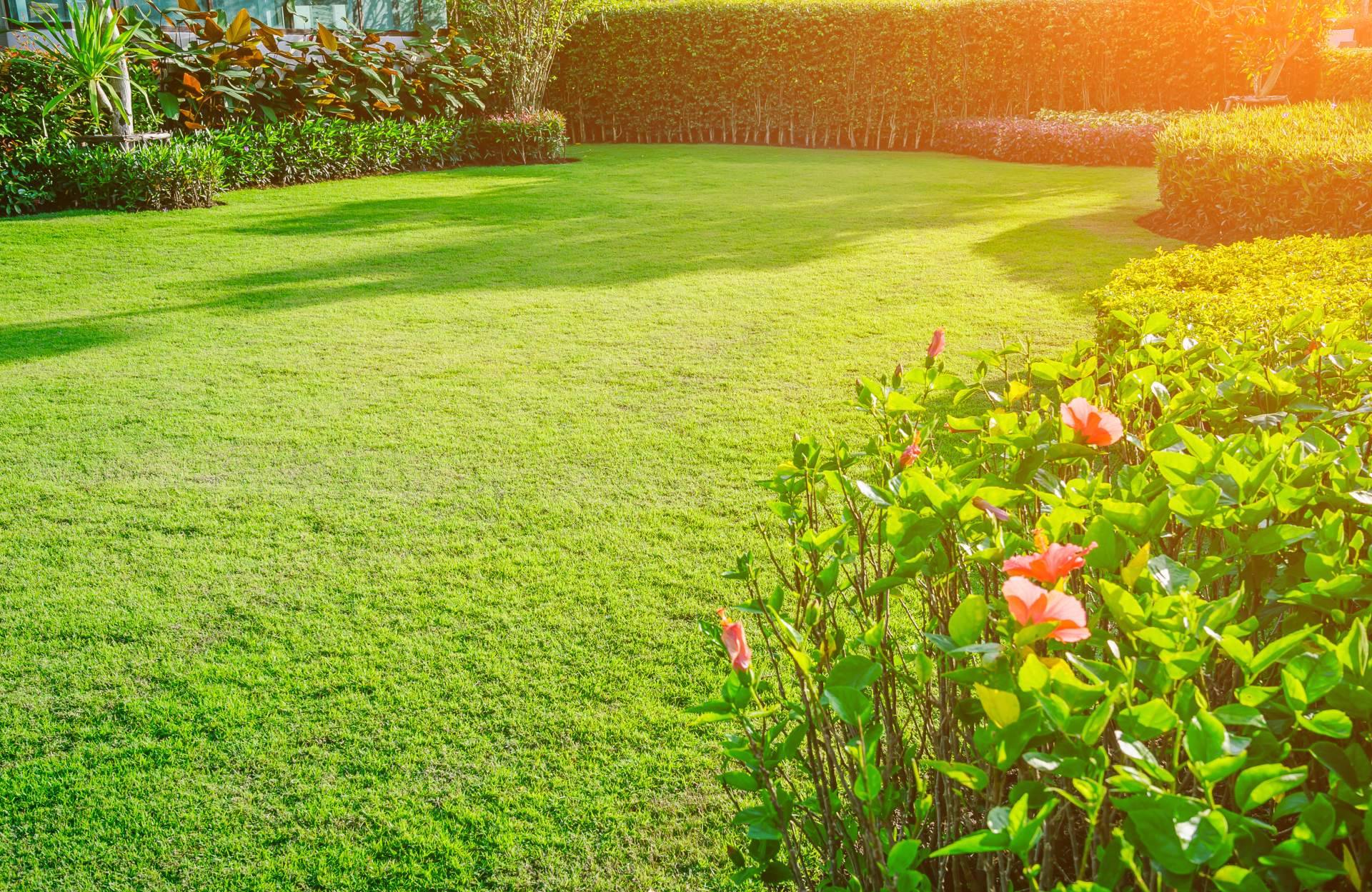 La flexibilidad del cortacésped automático de la compañía Robotic Mowers