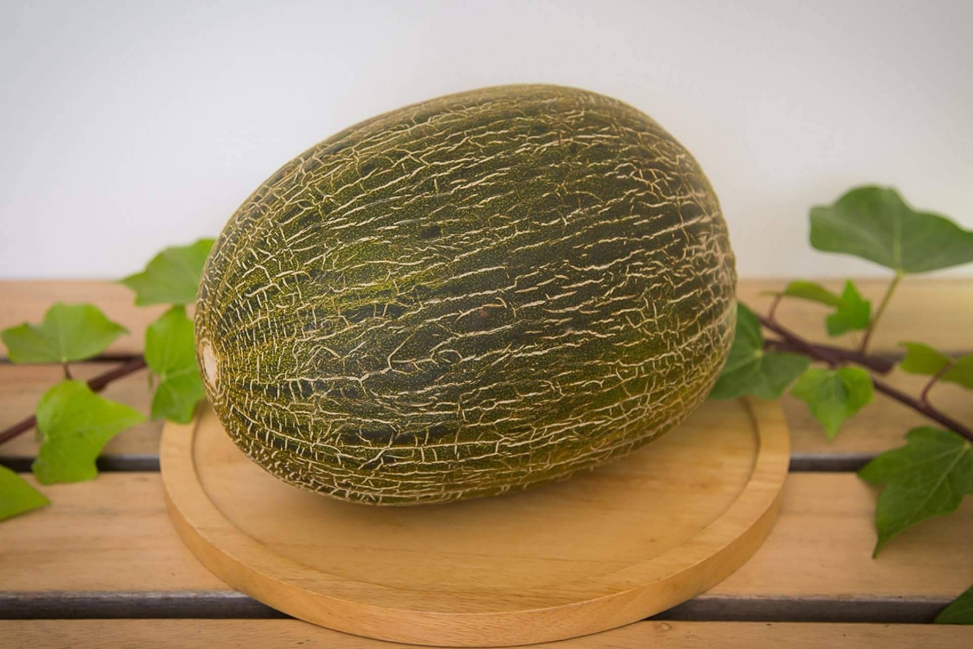 Cítricos y Delicias pone a disposición sus melones gourmet, únicos en el mercado