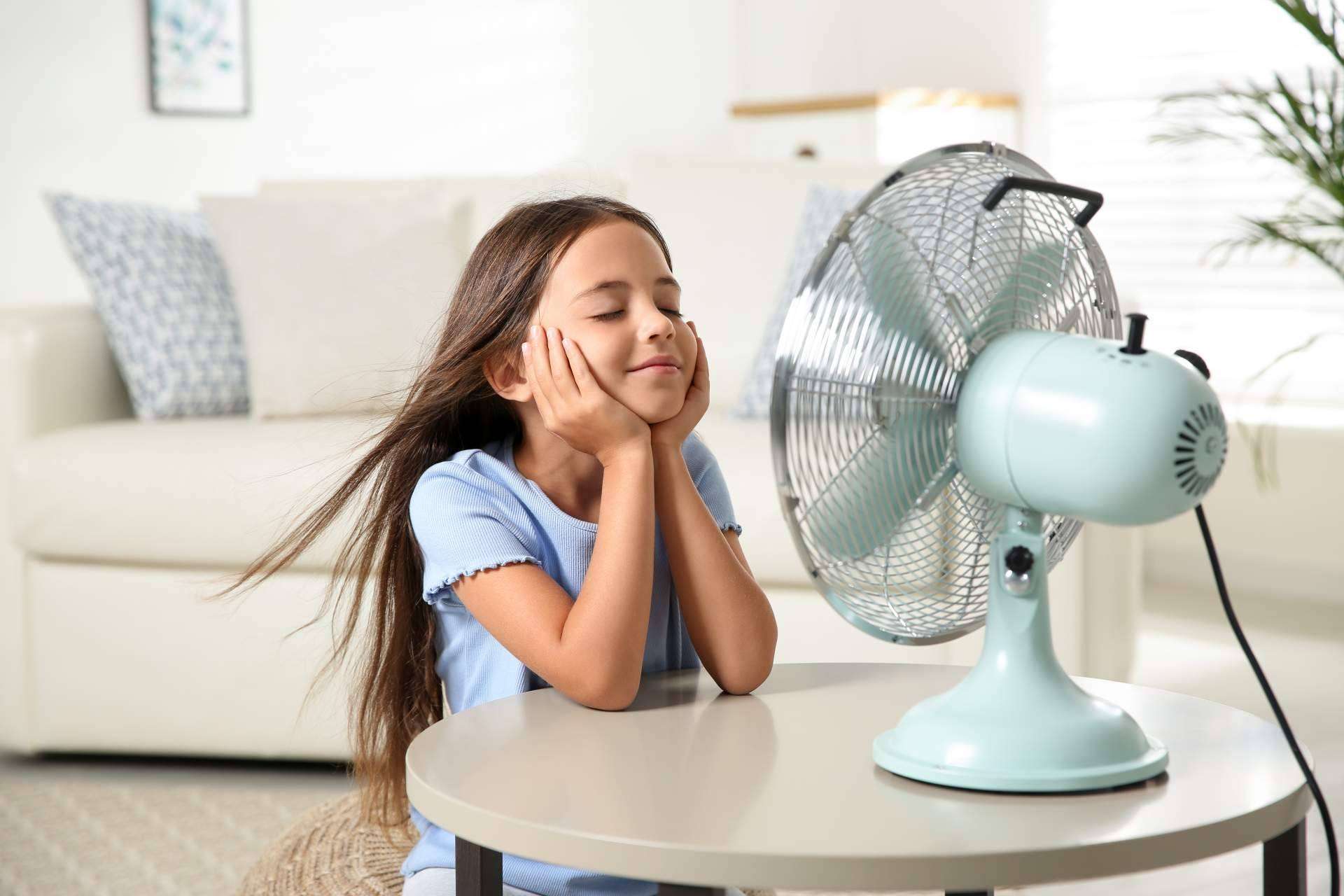 Los ventiladores son el mejor aliado para el calor en verano, por Suministros Tomás Beltrán