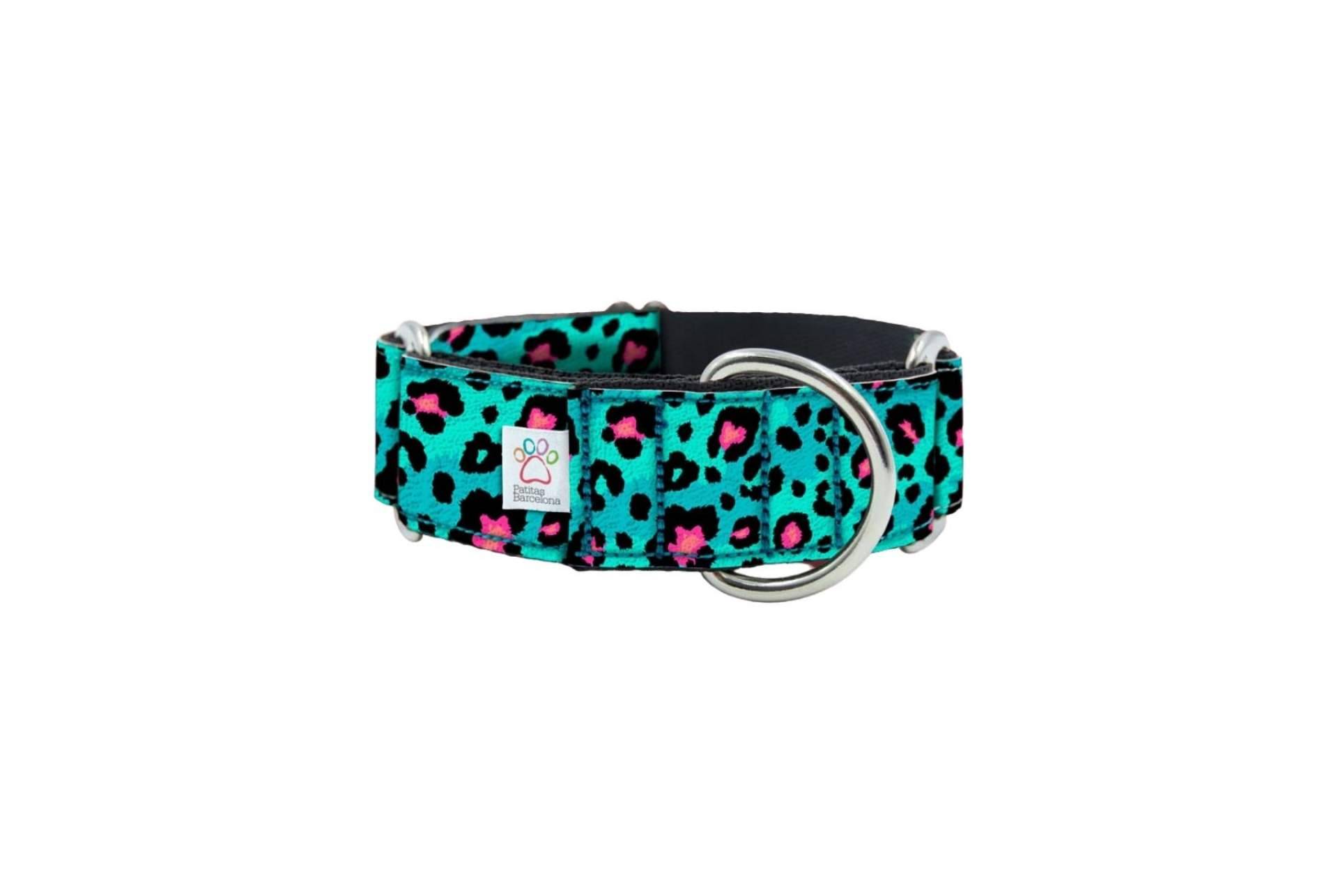 Las ventajas de comprar collares de piel sintética para perros en Patitas Barcelona