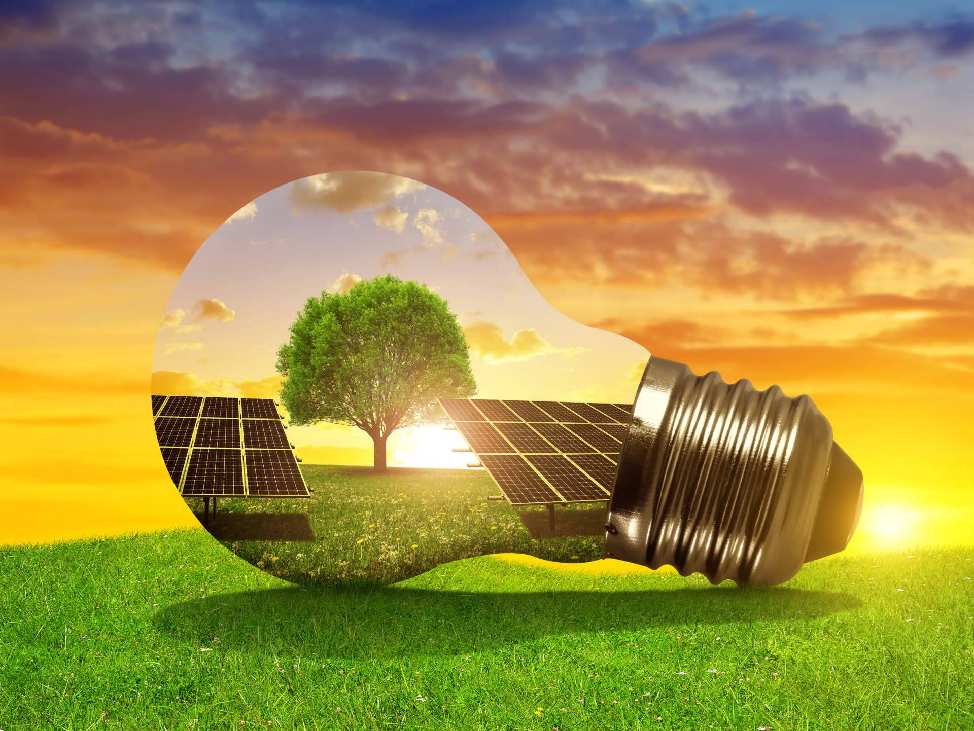 Asesoramiento para ahorrar luz con Ahorro Direct