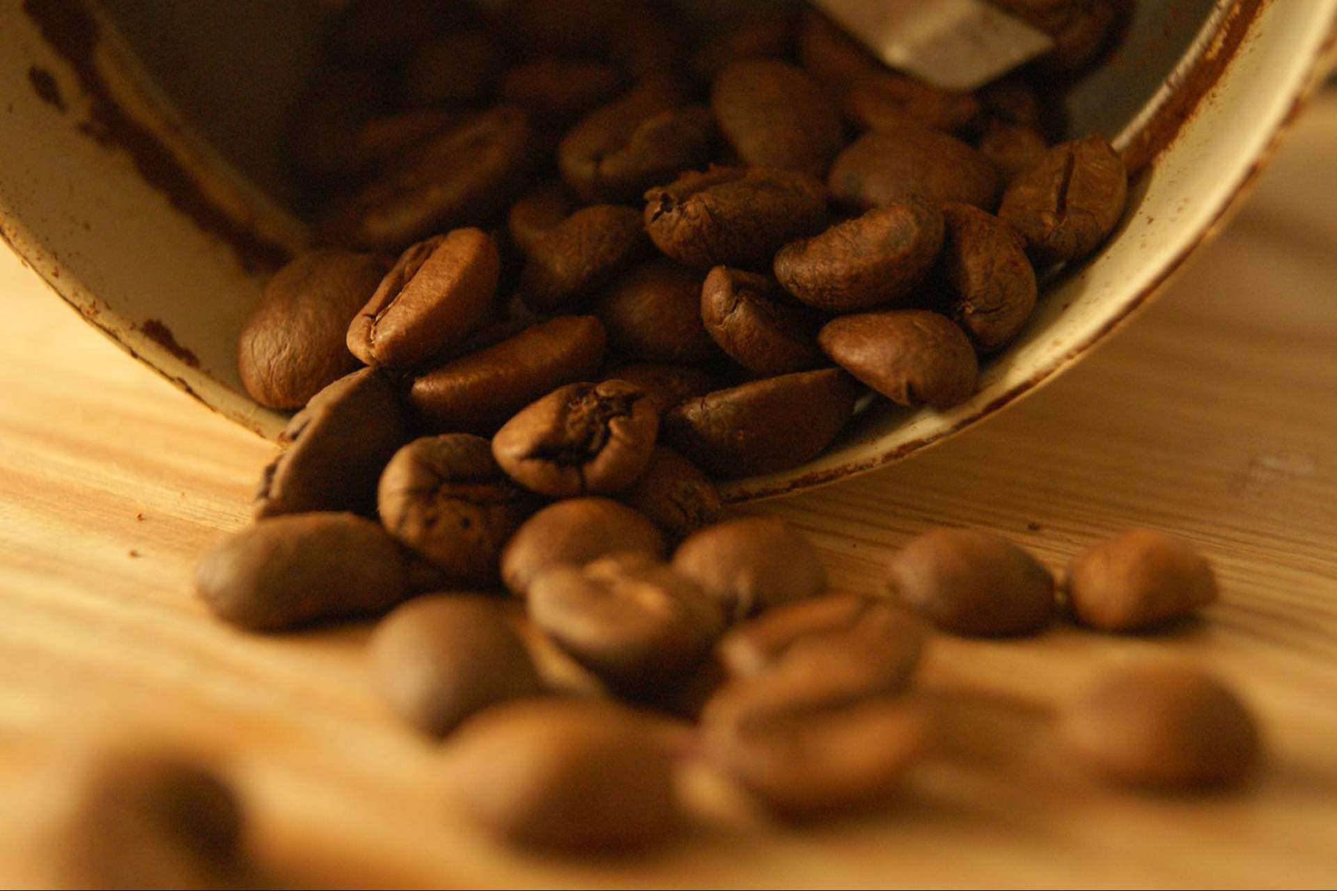 El mejor café especial que garantiza una bebida justa y sostenible: Cafés Guayacán