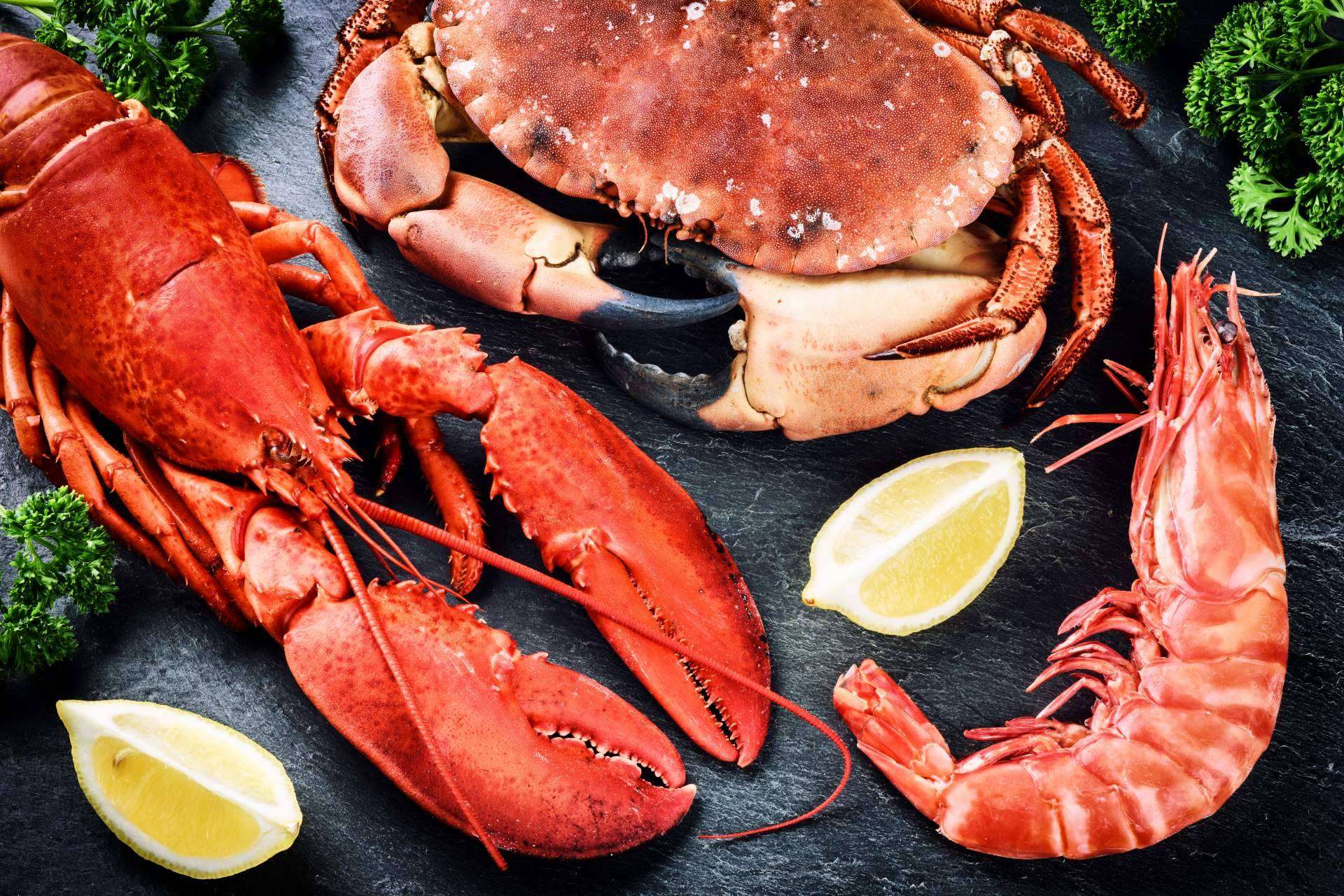 Venta de marisco para restaurantes: Marisco Galego