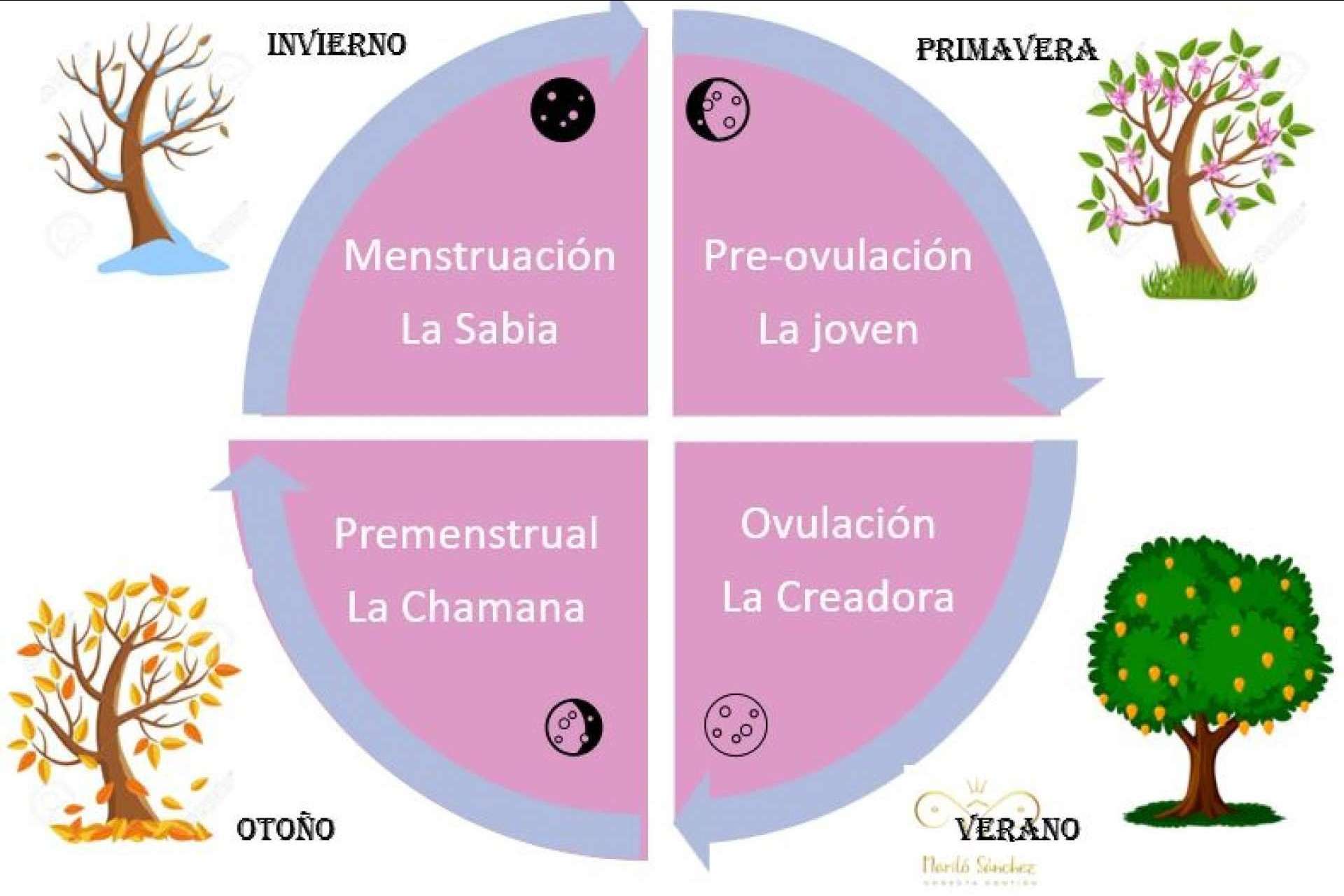 Mariló Sánchez: ¿Cuáles son los tabúes sobre la menstruación y la educación menstrual?