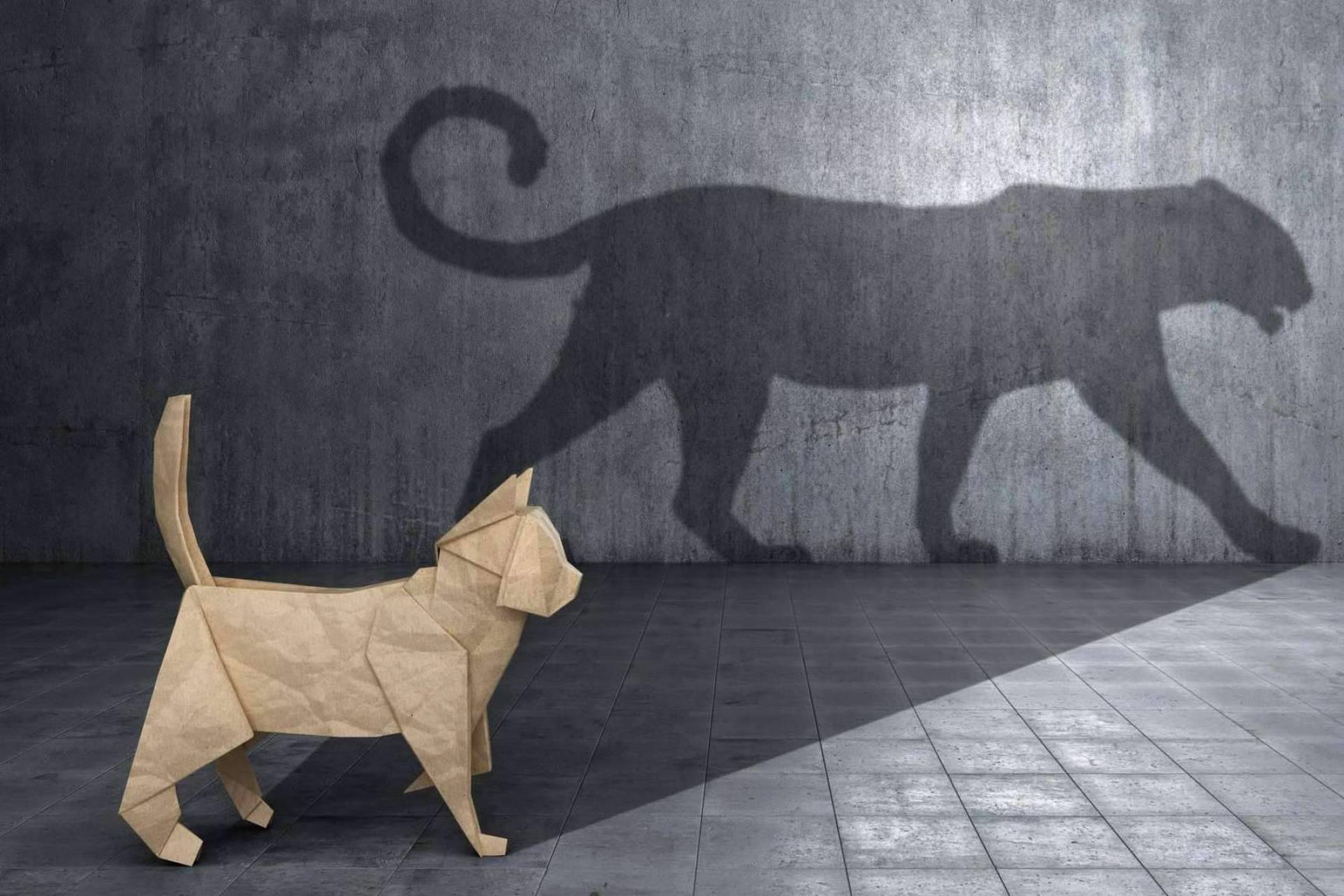 Ejecución de la transformación de empresa con la ayuda de la compañía Manager in Motion