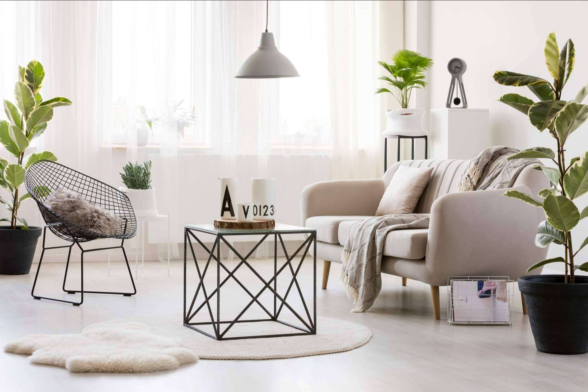 Decoración del hogar con la ayuda de la tienda virtual La Bomba Shop