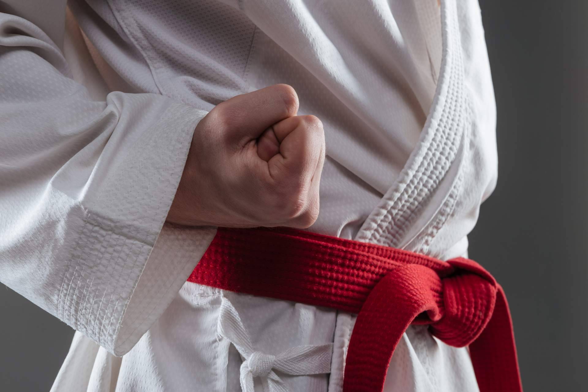 Kendokan Martial Arts es una buena alternativa para los amantes de las artes marciales, ya que ofrece una gran selección de equipo deportivo y equipamiento para poder entrenar en casa