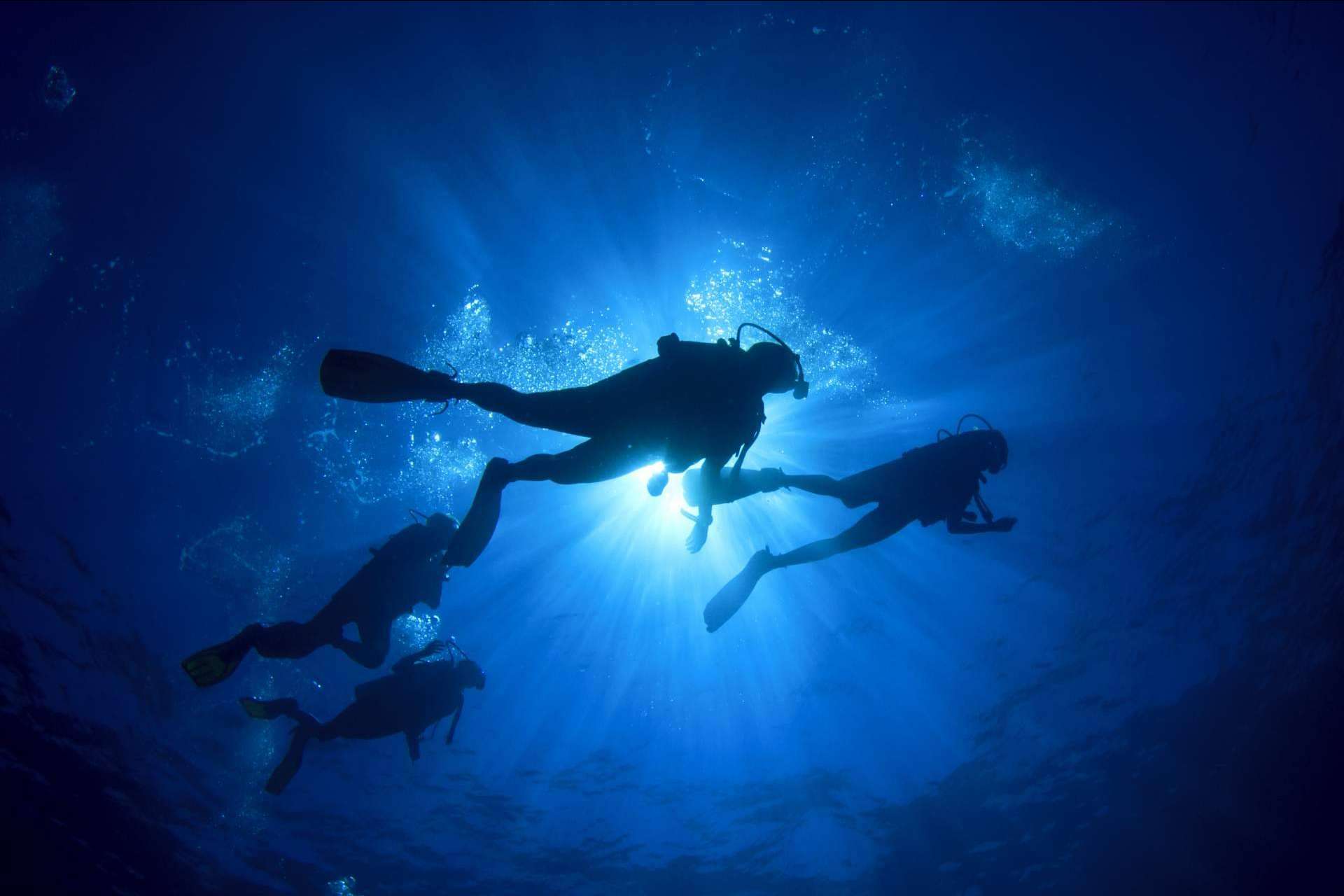 Cursos de gestión de estrés en el buceo con Gestión Emocional