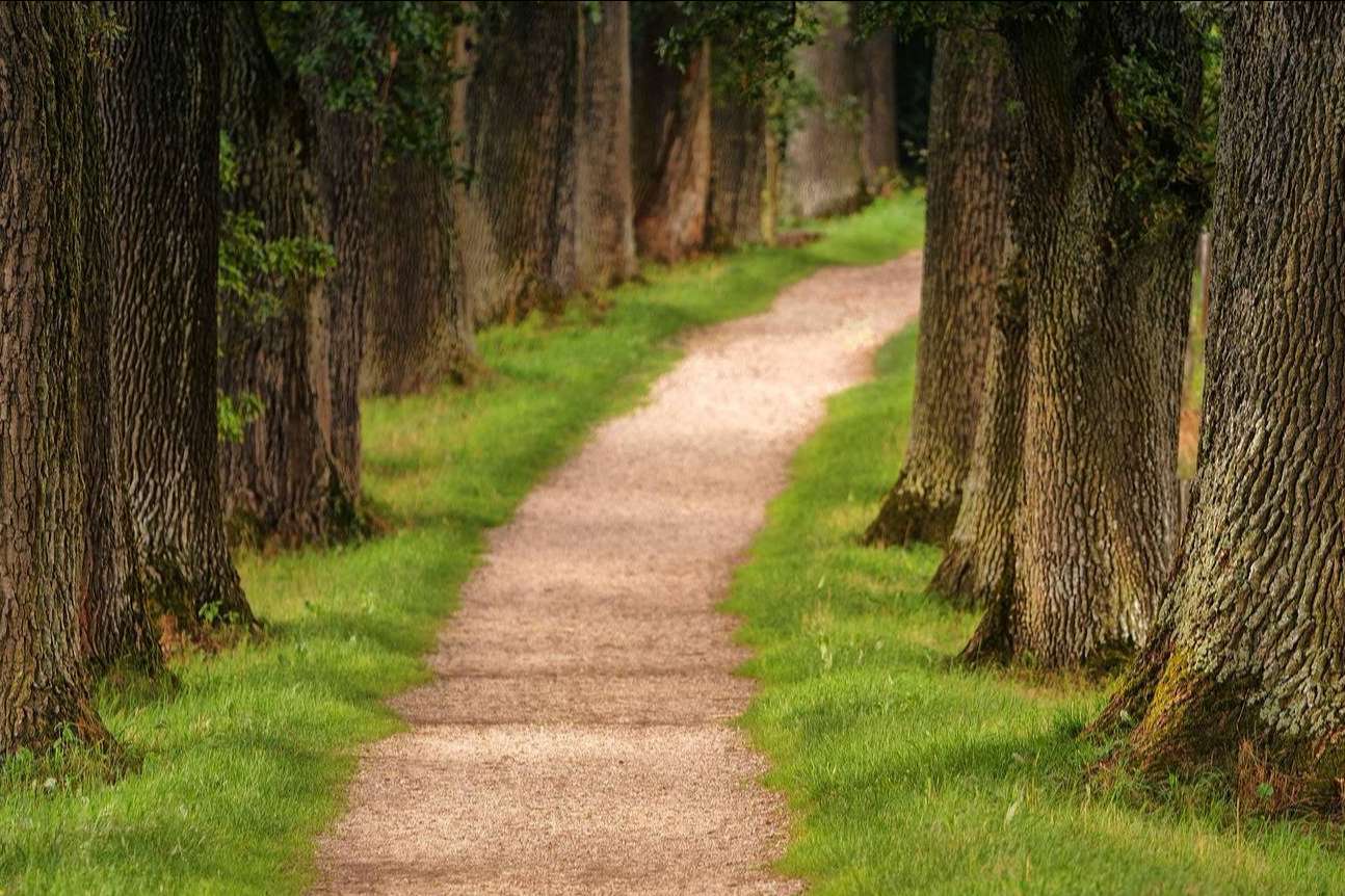 Ecoescuela: la primera empresa en el mundo creada para luchar contra el cambio climático a través de los centros escolares