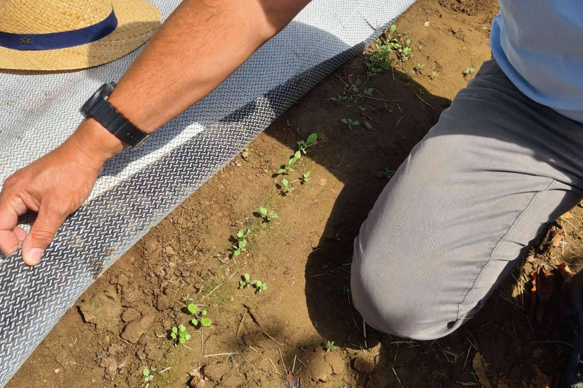 ¿Cómo proteger los cultivos ante temporadas de sequía?: Tejidos Agrisoil de la empresa Agralia