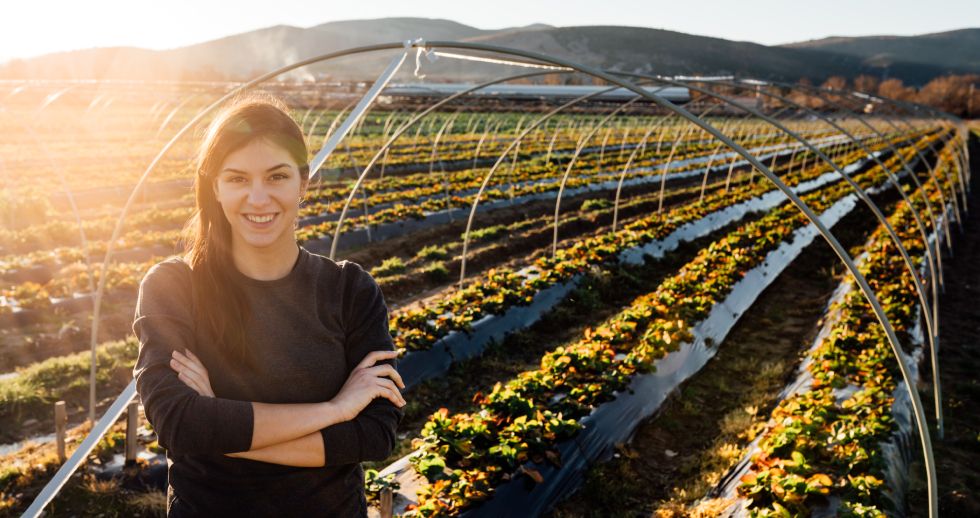 La Industria 4.0 del agroalimentario español no consigue despegar debido a la dificultad de acceso a las tecnologías y a la financiación