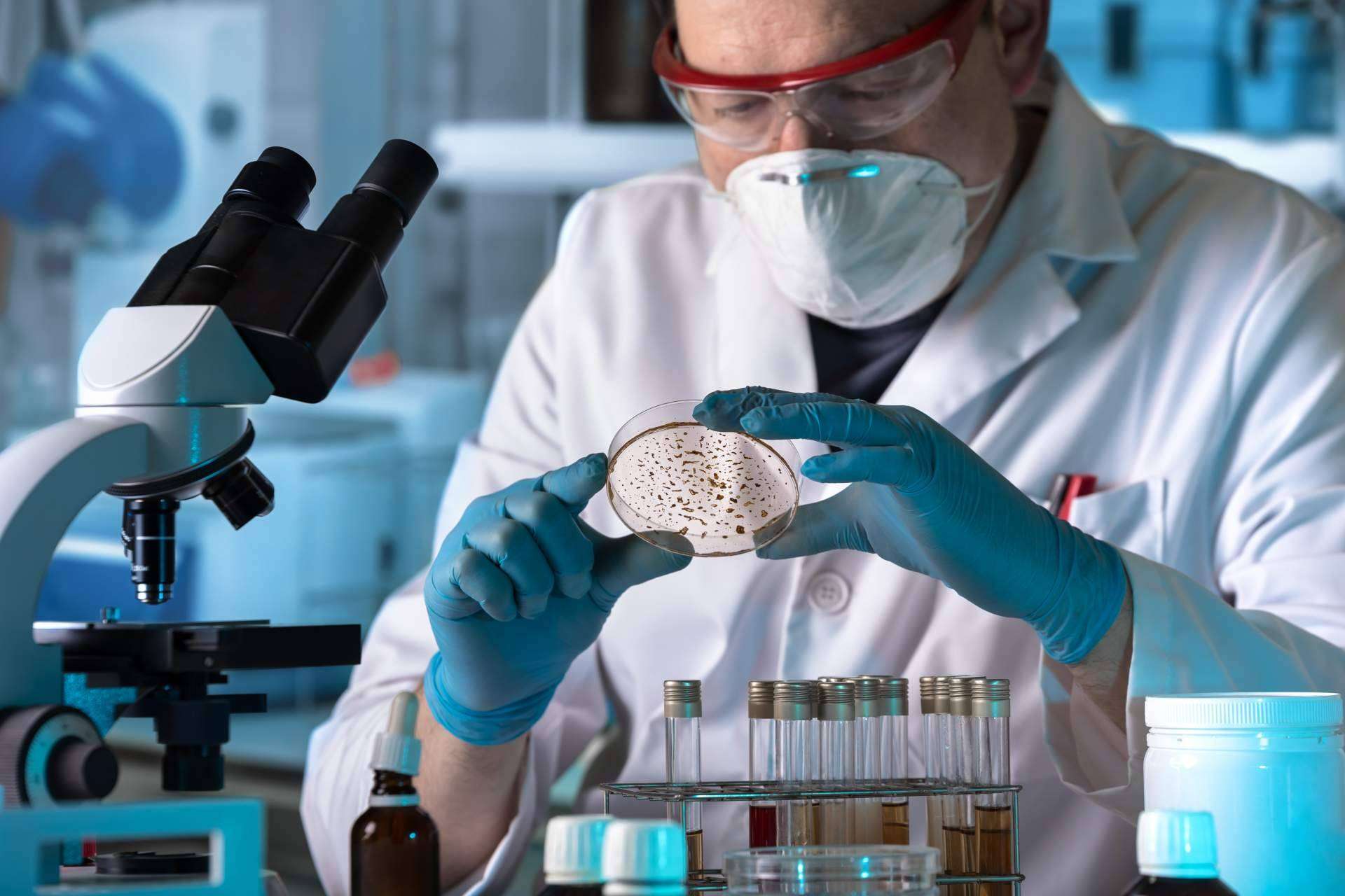 ¿La disbiosis intestinal tiene tratamiento?