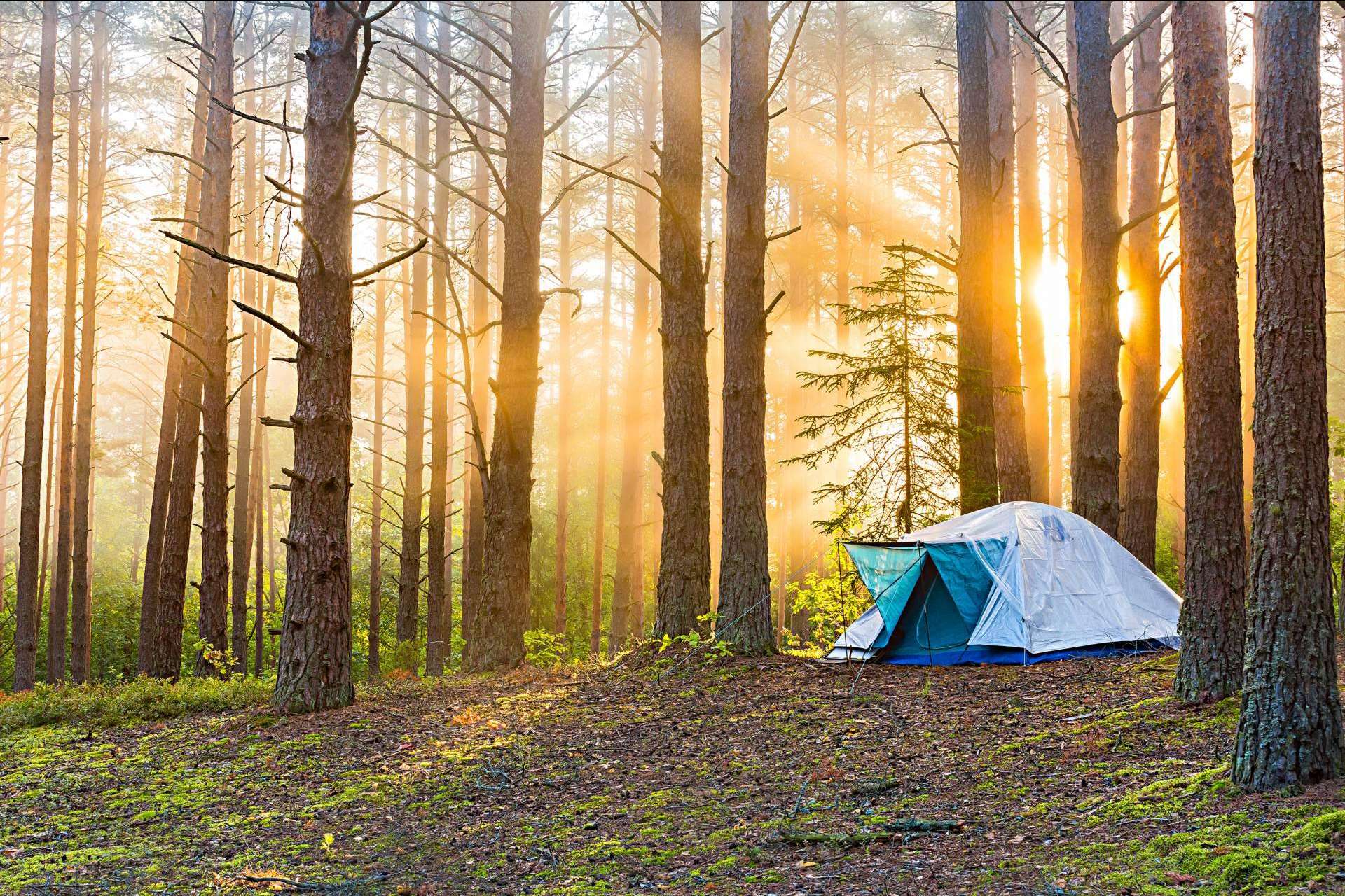 El campamento de aventura de Aventurarte permite dar la vuelta al mundo