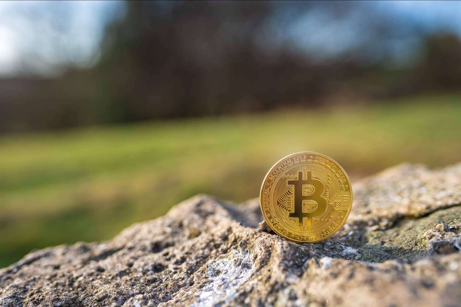 Ltd24Ore, asesoramiento sobre criptomonedas e ICO en el Reino Unido
