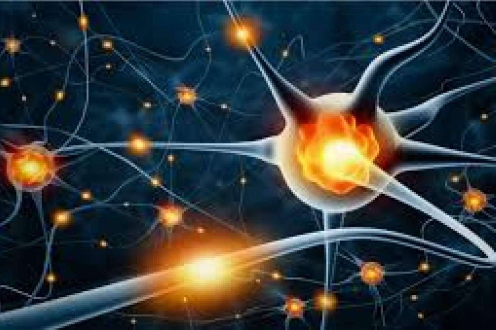 La creación de inteligencia artificial es una tarea complicada que requiere de conocimientos, cualificación y sobre todo talento, pero entender qué es la IA no es nada complicado, por Agustín de la Luz