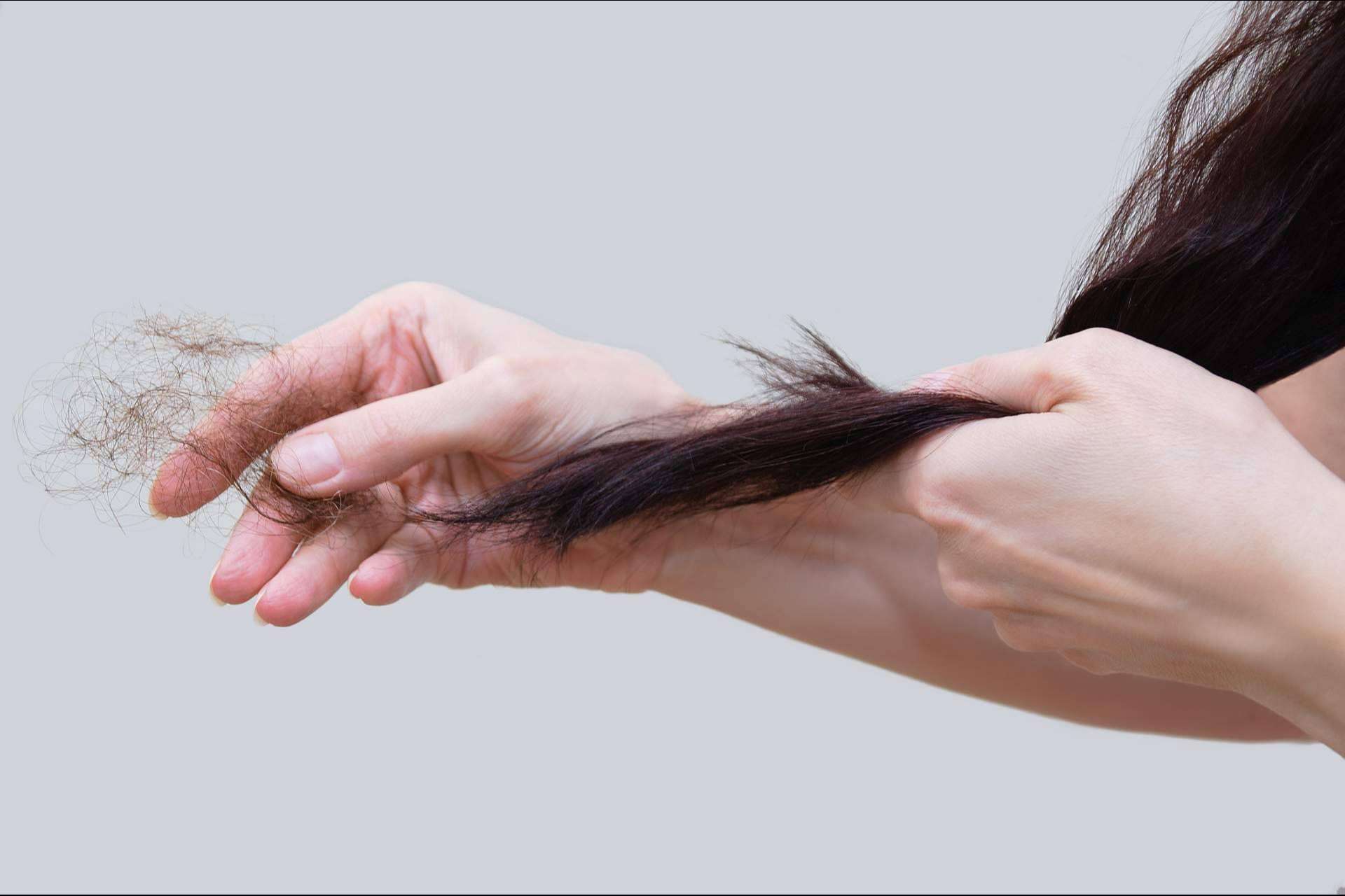 ¿Cuáles son los motivos de la sequedad de la piel y la caída de cabello en otoño?, por Géomer
