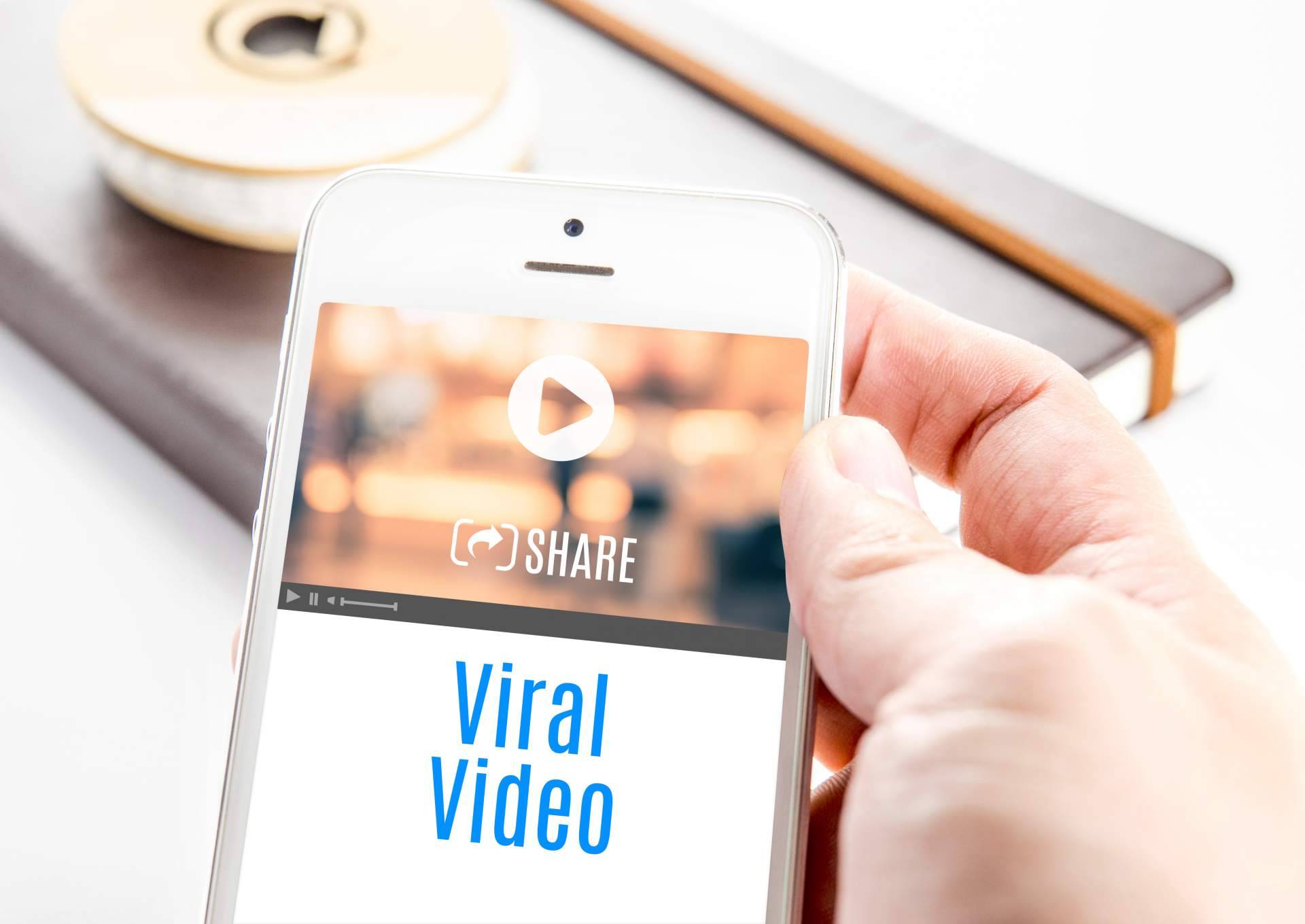 Virolico es la página web donde el lector encontrará todos los contenidos virales del momento