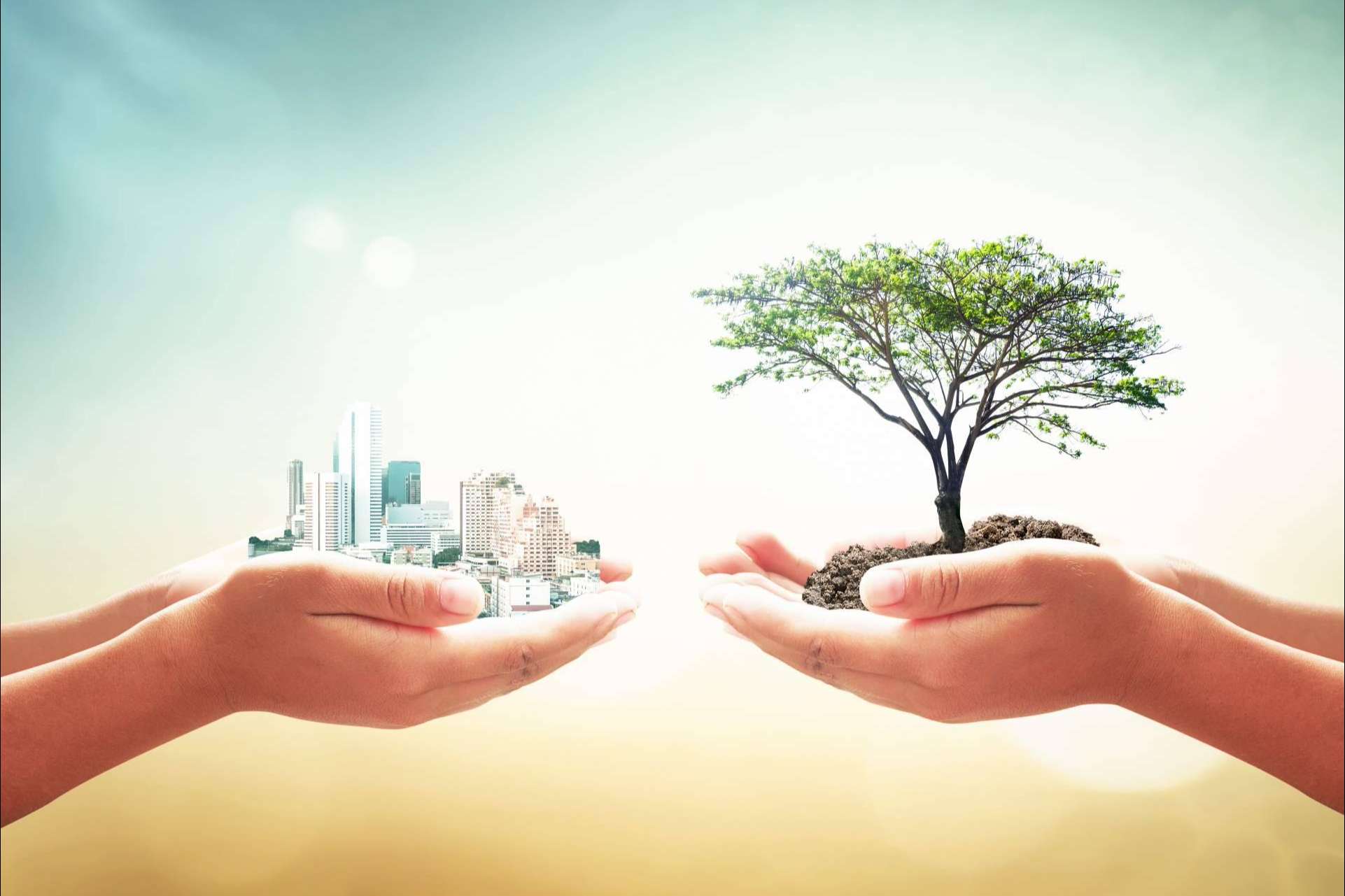 Ipostar recalca la importancia de la responsabilidad ambiental empresarial