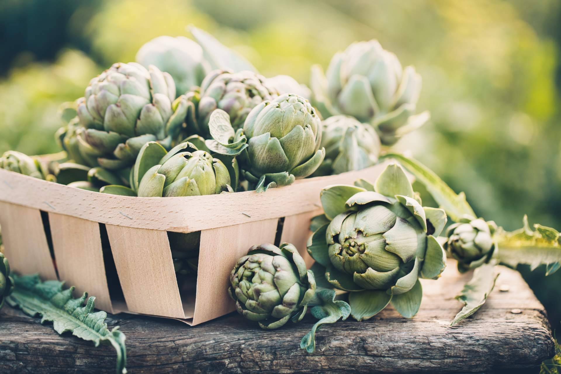 ¿Es la alcachofa una planta medicinal? Novonatur
