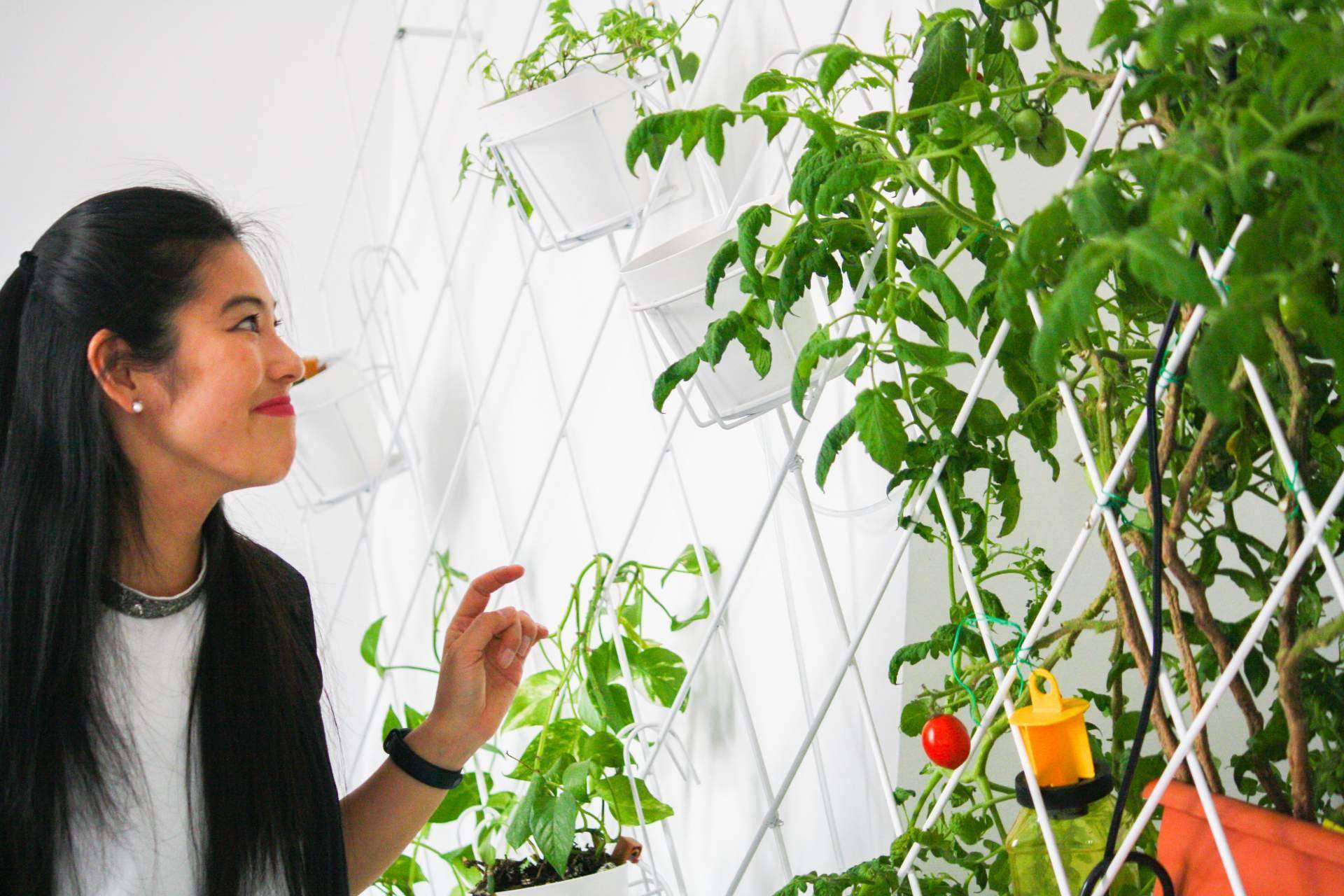 Creación de nuevas startups enfocadas en crear espacios verdes para vivir y trabajar fomentada por la colaboración entre los habitantes de Urban Campus